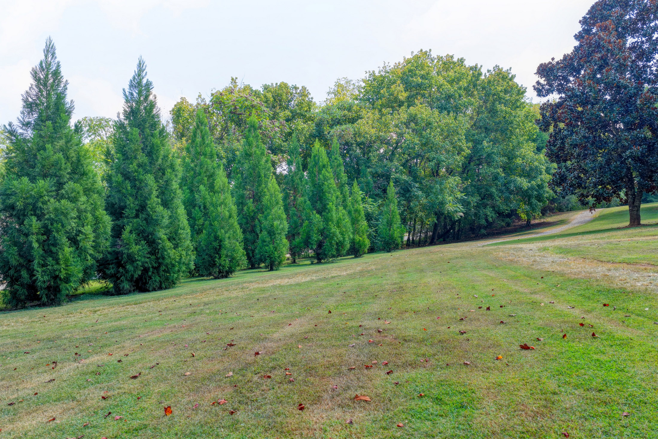  Active Adult Nearly-new Ranch Home in the Heart of Hickory Flat Area of Canton - 物件實景