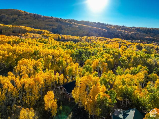 Heber City, Utah, 84032, United States, 6 Bedrooms Bedrooms, ,5 BathroomsBathrooms,Residential,For Sale,1974398