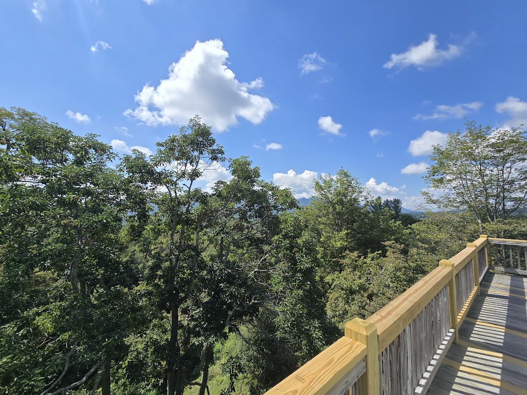 Warrensville, North Carolina, 28693, United States, 2 Bedrooms Bedrooms, ,2 BathroomsBathrooms,Residential,For Sale,1982340