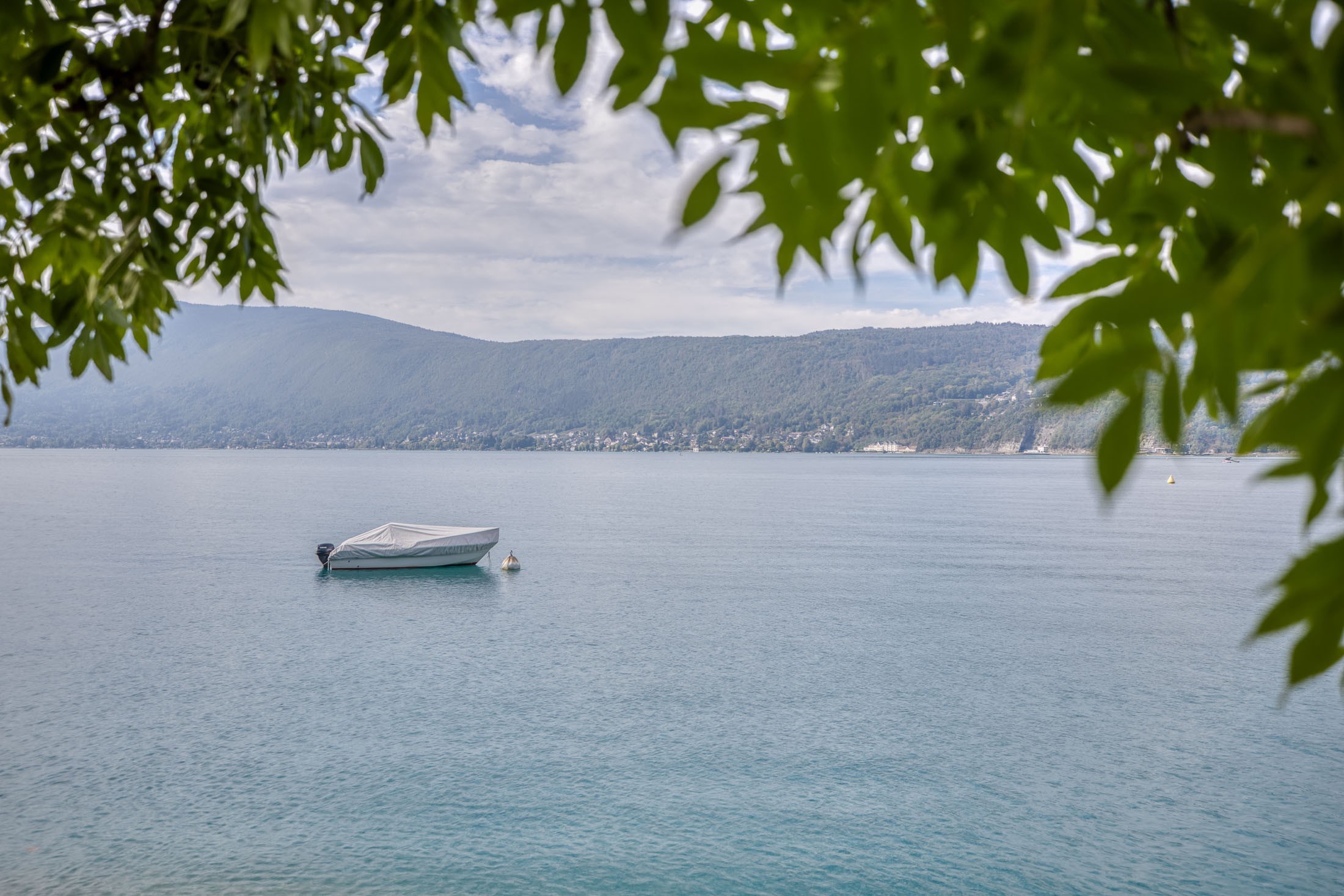  VEYRIER-DU-LAC – DUPLEX APARTMENT – DIRECT ACCESS TO THE LAKE - 物件實景