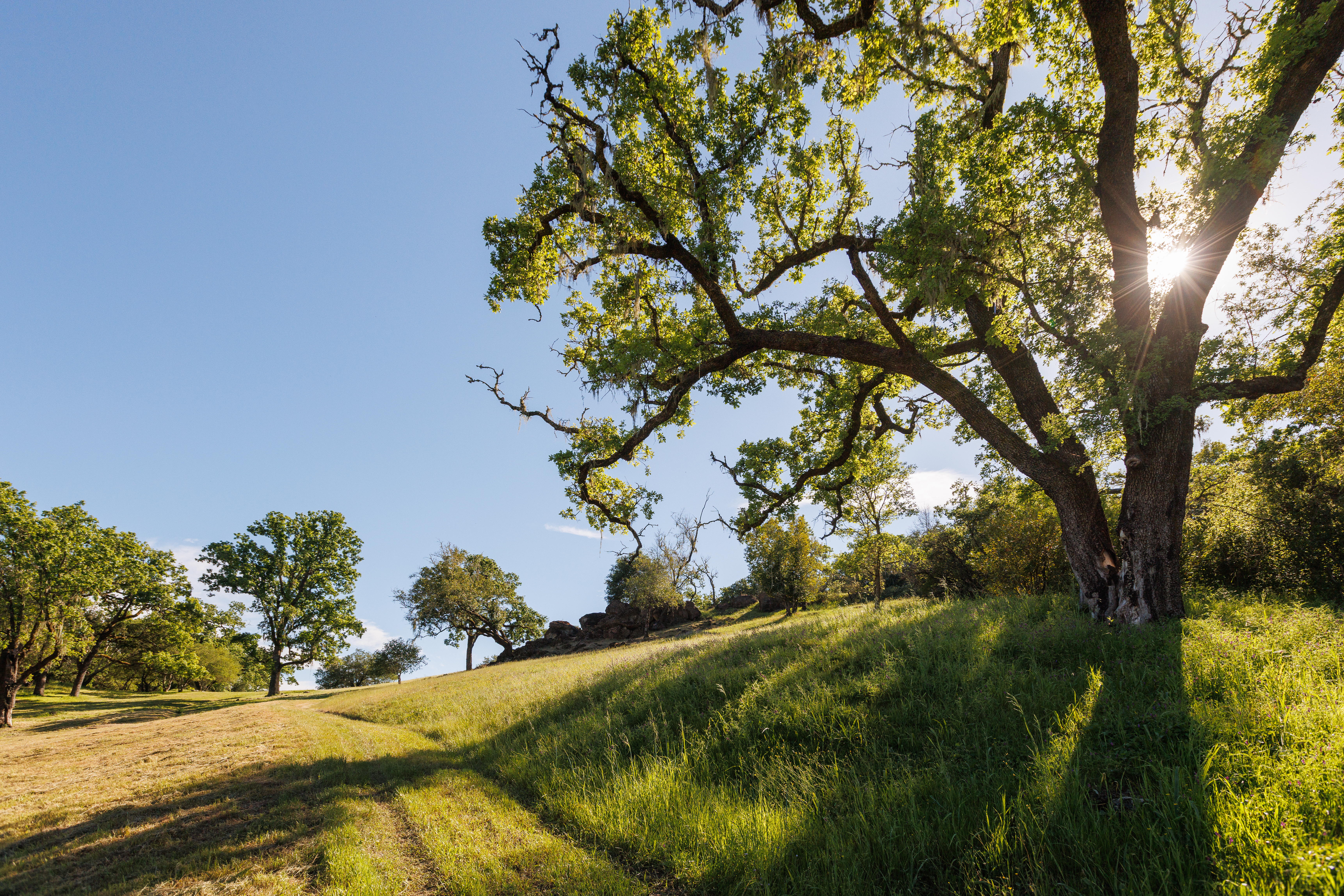  6225 West Soda Rock Lane, Healdsburg, CA 95448 - 物件實景