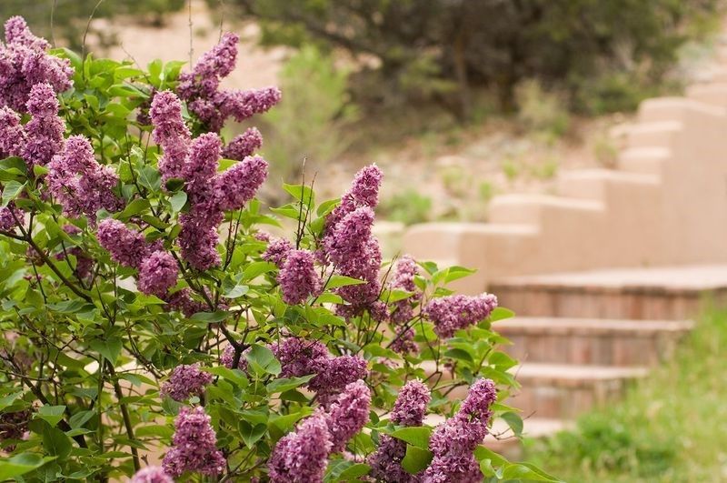 Santa Fe, New Mexico, 87501, United States, 2 Bedrooms Bedrooms, ,3 BathroomsBathrooms,Residential,For Sale,1959101