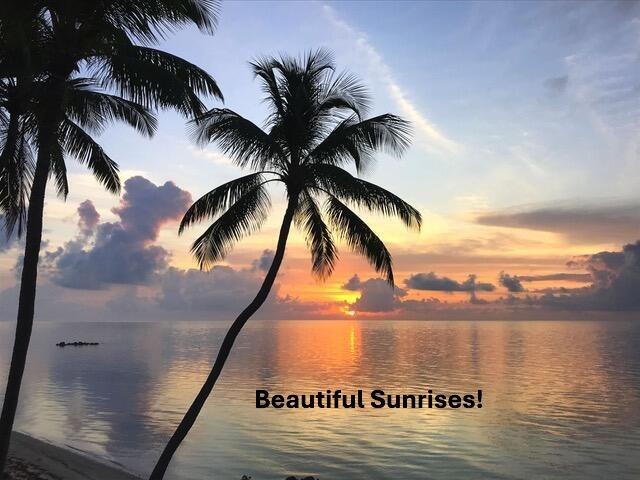 Islamorada, Florida, 33036, United States, 3 Bedrooms Bedrooms, ,3 BathroomsBathrooms,Residential,For Sale,1895165