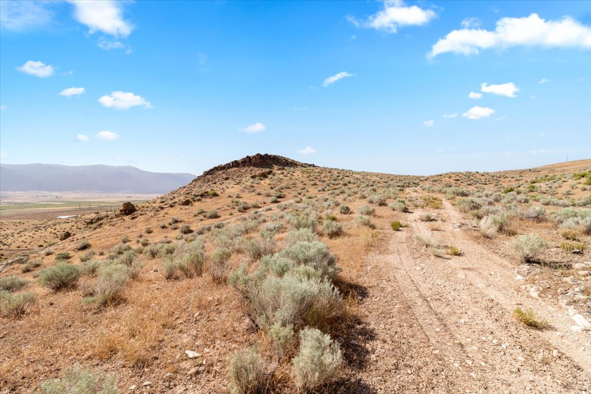 Moroni, Utah, 84646, United States, ,Land,For Sale,1973809
