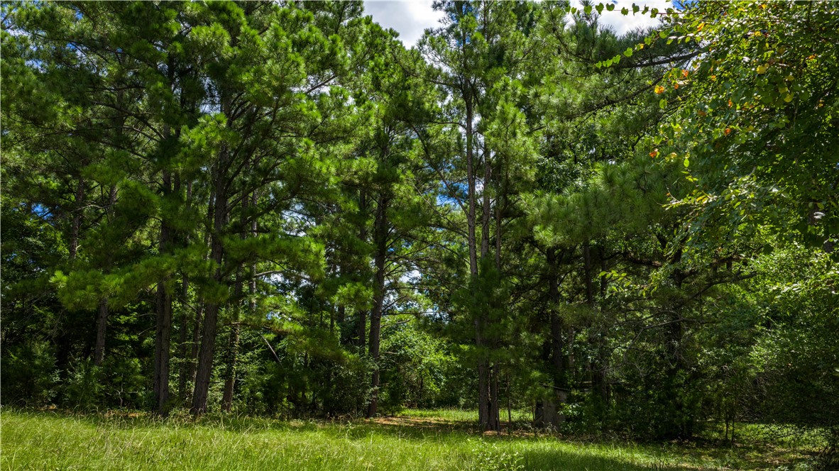 Midway, Texas, 75852, United States, 1 Bedroom Bedrooms, ,1 BathroomBathrooms,Residential,For Sale,1957289