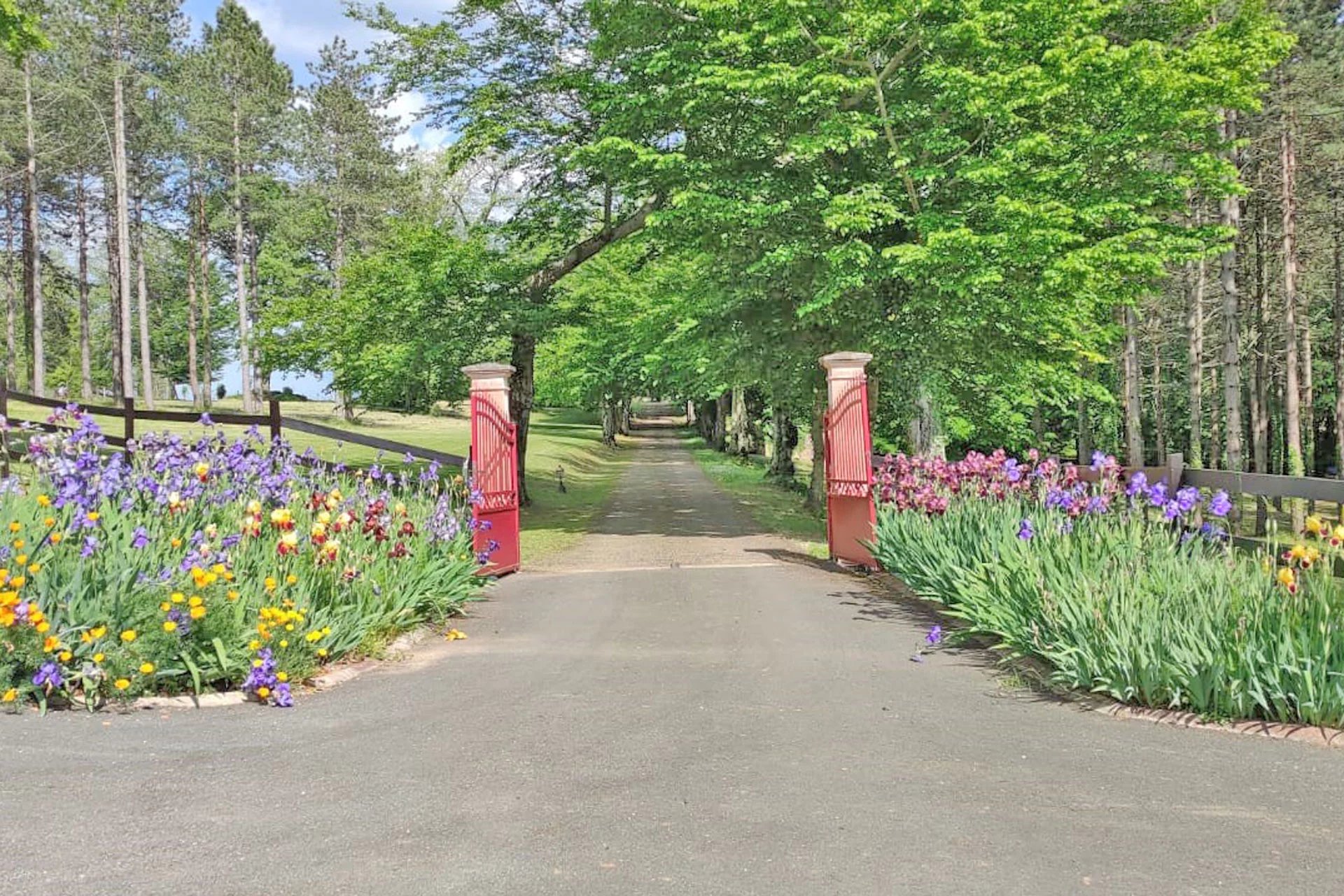 Bergerac, New Aquitaine, 24100, FR, 6 Bedrooms Bedrooms, ,4 BathroomsBathrooms,Residential,For Sale,1995551