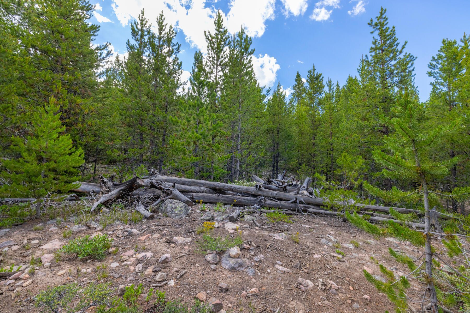  517 Giberson Lane, Frisco, CO, 80443 - 物件實景