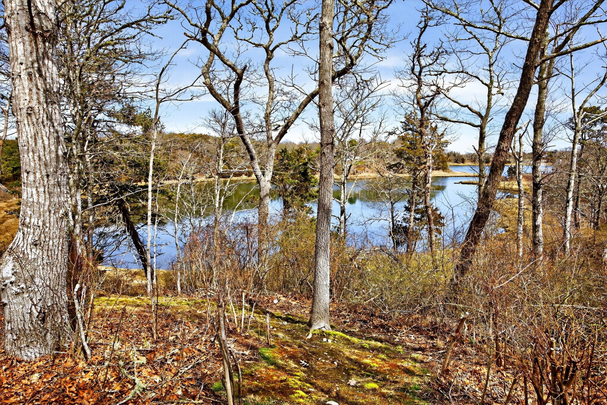  7 Little Cove Lane, Orleans, MA, 02653 - 物件實景