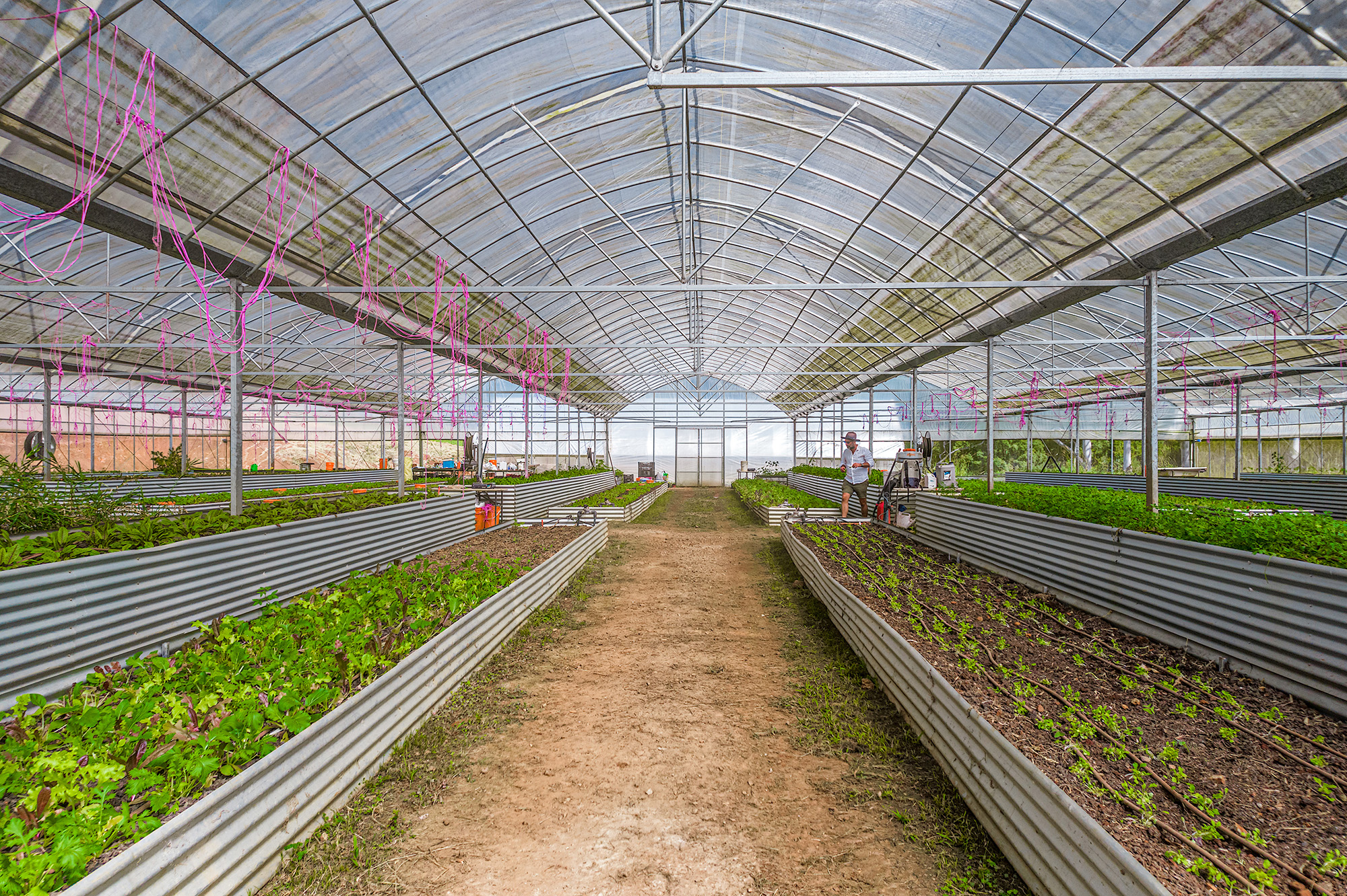  71 Cooks Road, Nashua - 物件實景