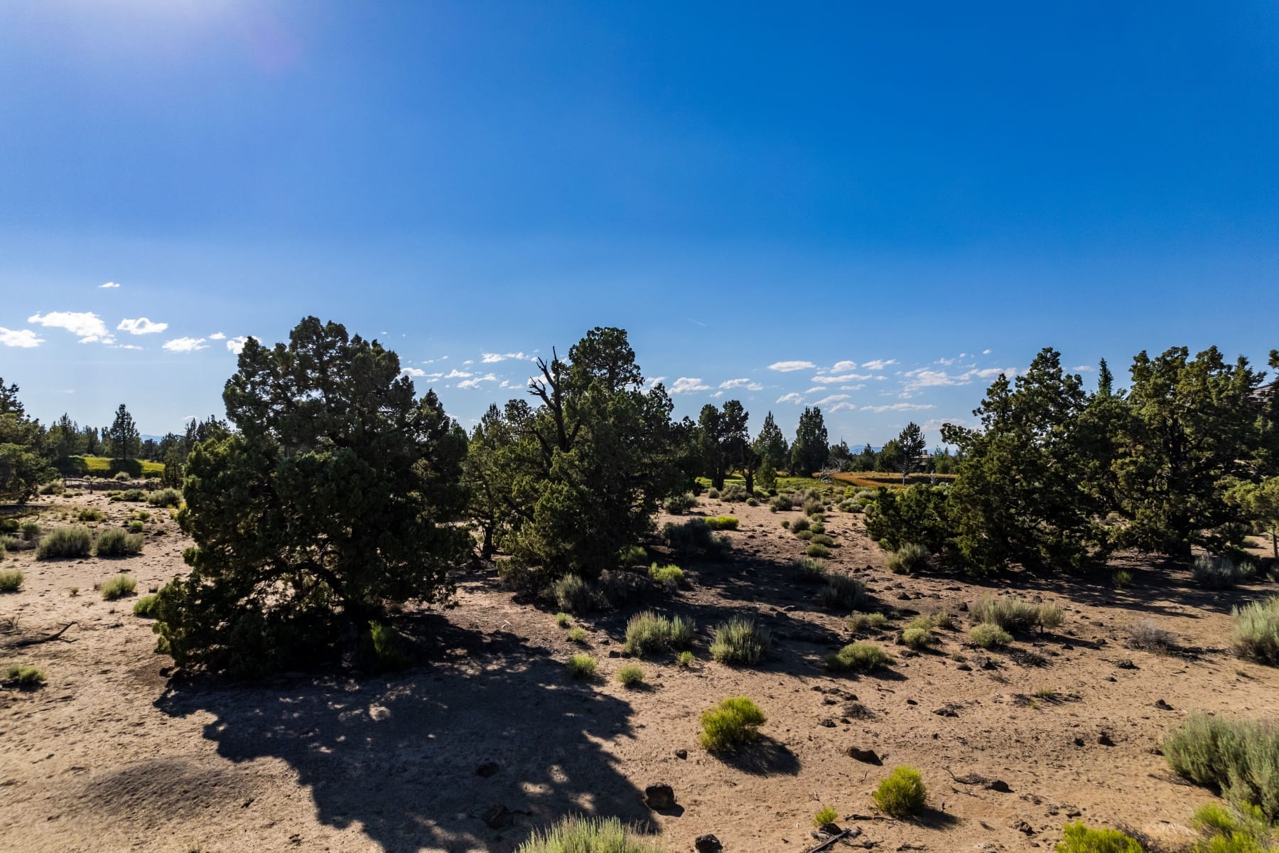  65877 Sage Canyon Court #180 Bend, OR 97701 - 物件實景