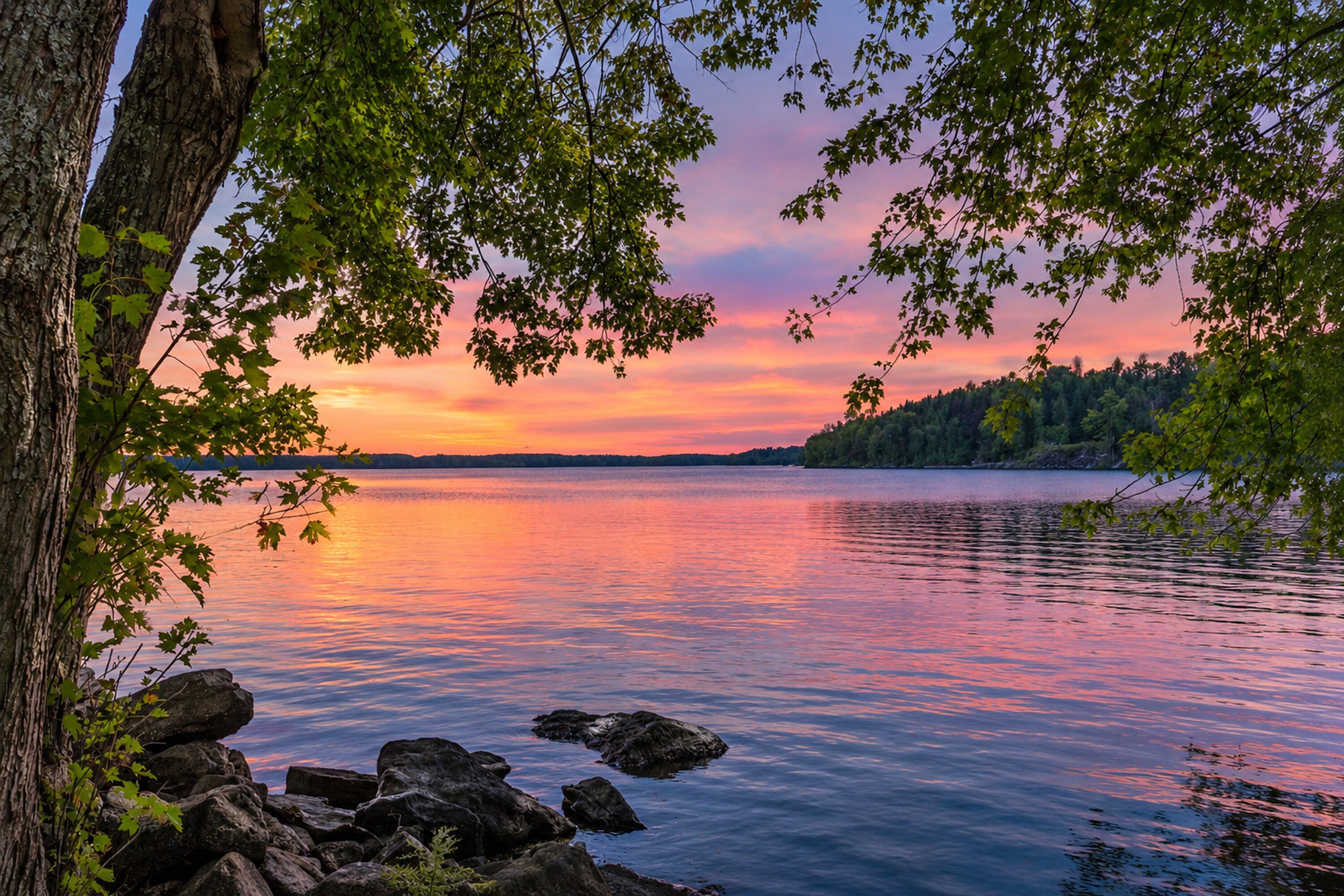  Beautiful Lake St. John - 物件實景