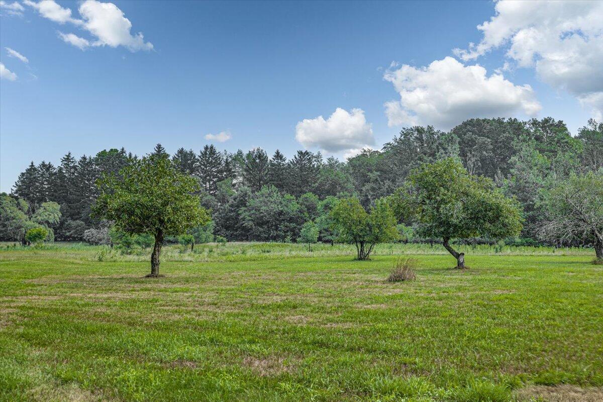 Three Oaks, Michigan, 49128, United States, ,Land,For Sale,1908365