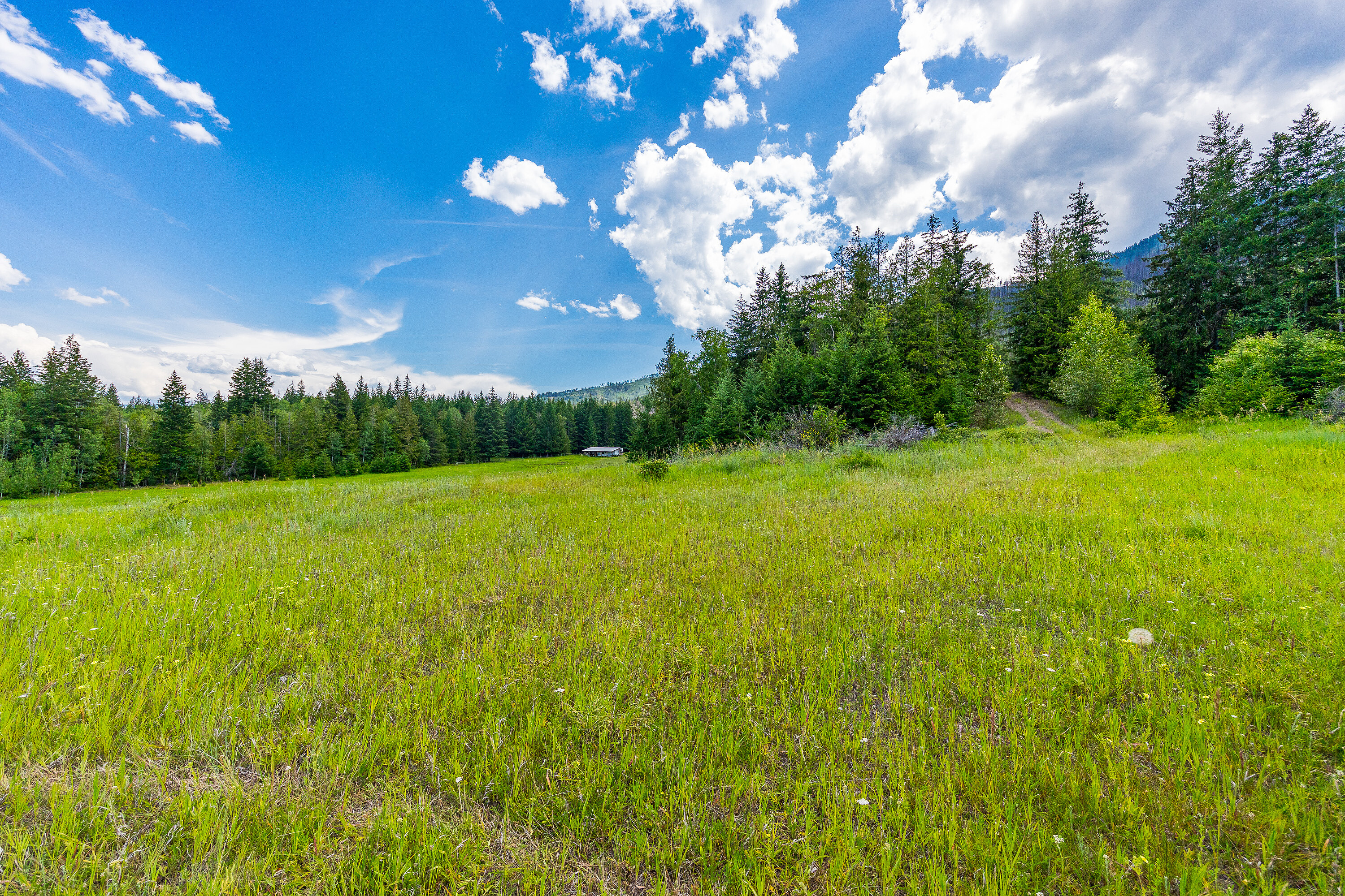  35.237 Acre Parcel in Sorrento - 物件實景