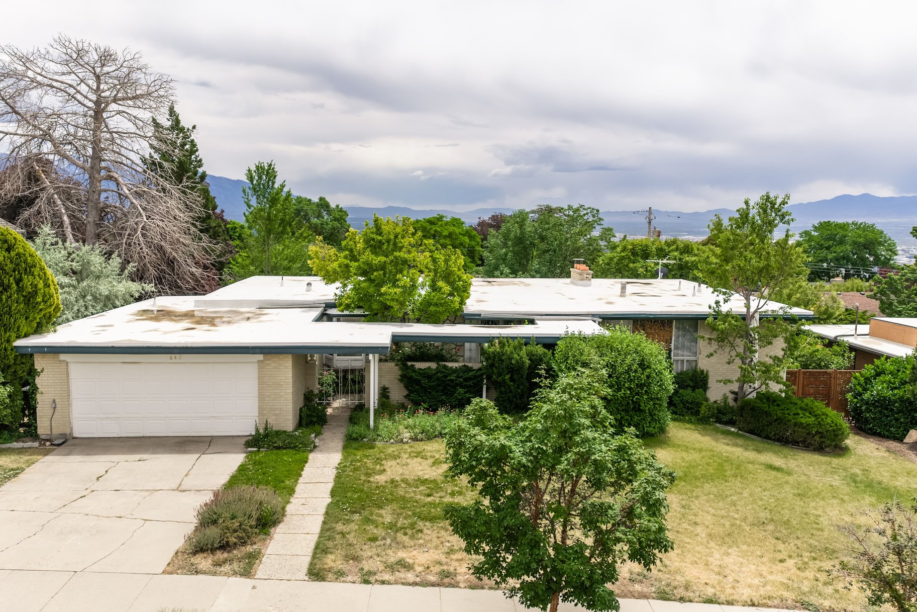  Mid-Century in the High Avenues - 物件實景