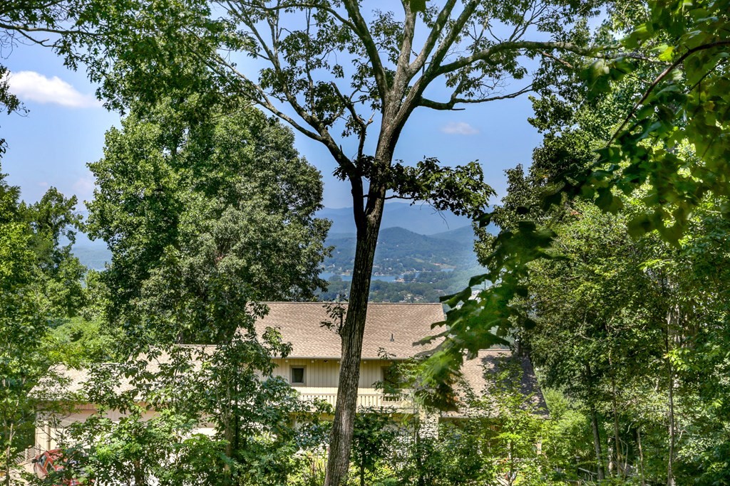 Hayesville, North Carolina, 28904, United States, 3 Bedrooms Bedrooms, ,5 BathroomsBathrooms,Residential,For Sale,1931942