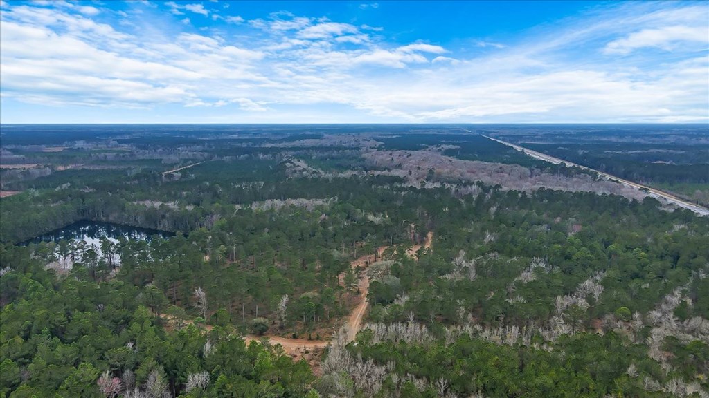 156 AC Us Hwy 17 Hwy, Townsend, Georgia, 31331, United States, ,Land,For Sale,156 AC Us Hwy 17 Hwy,1472997