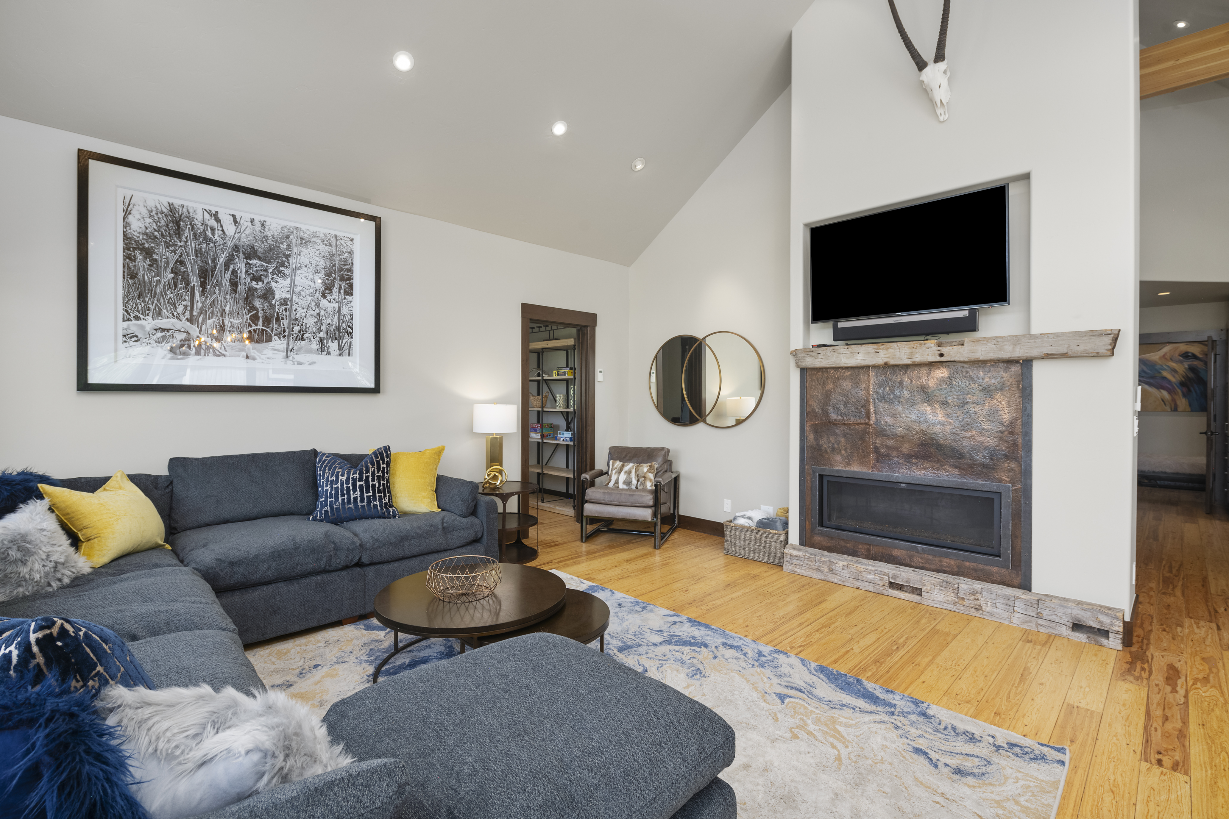  330 Larkspur Loop, Crested Butte, CO 81224 - 物件實景