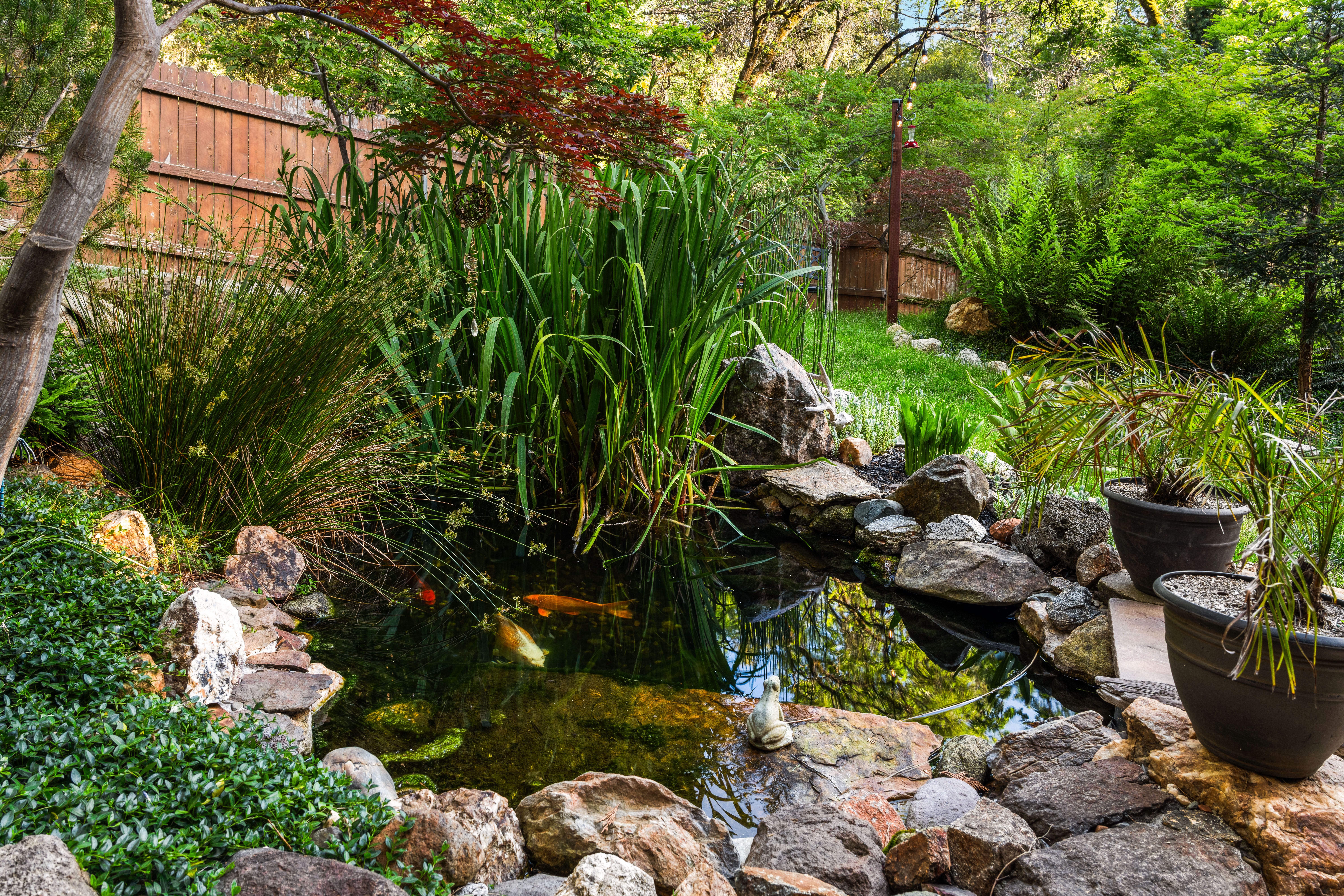  5086 Woodland Drive, Placerville, CA 95667 - 物件實景