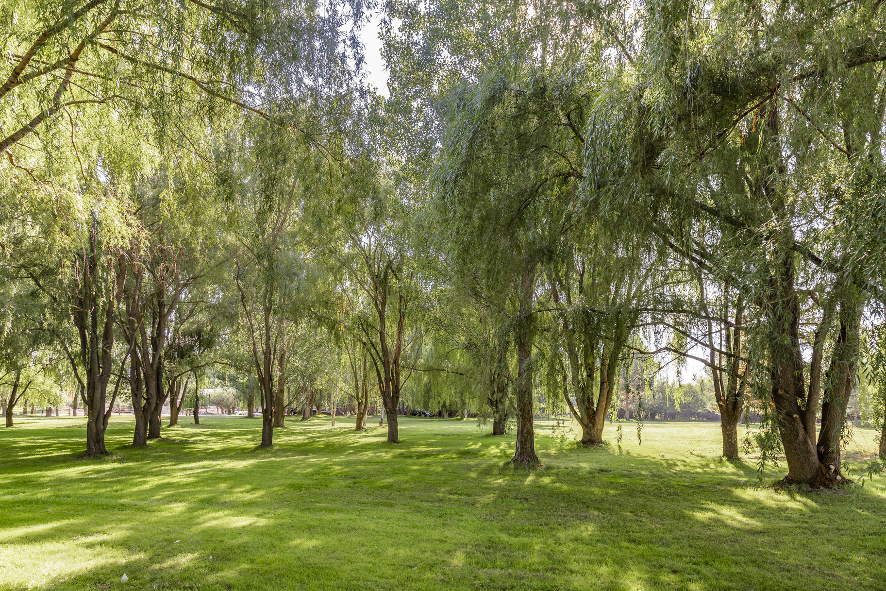  Multi Generational Estate, Heber Utah - 物件實景