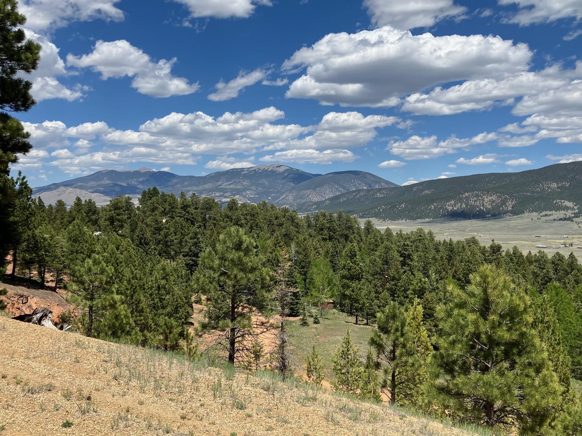 Eagle Nest, New Mexico, 87718, United States, ,Land,For Sale,1752253