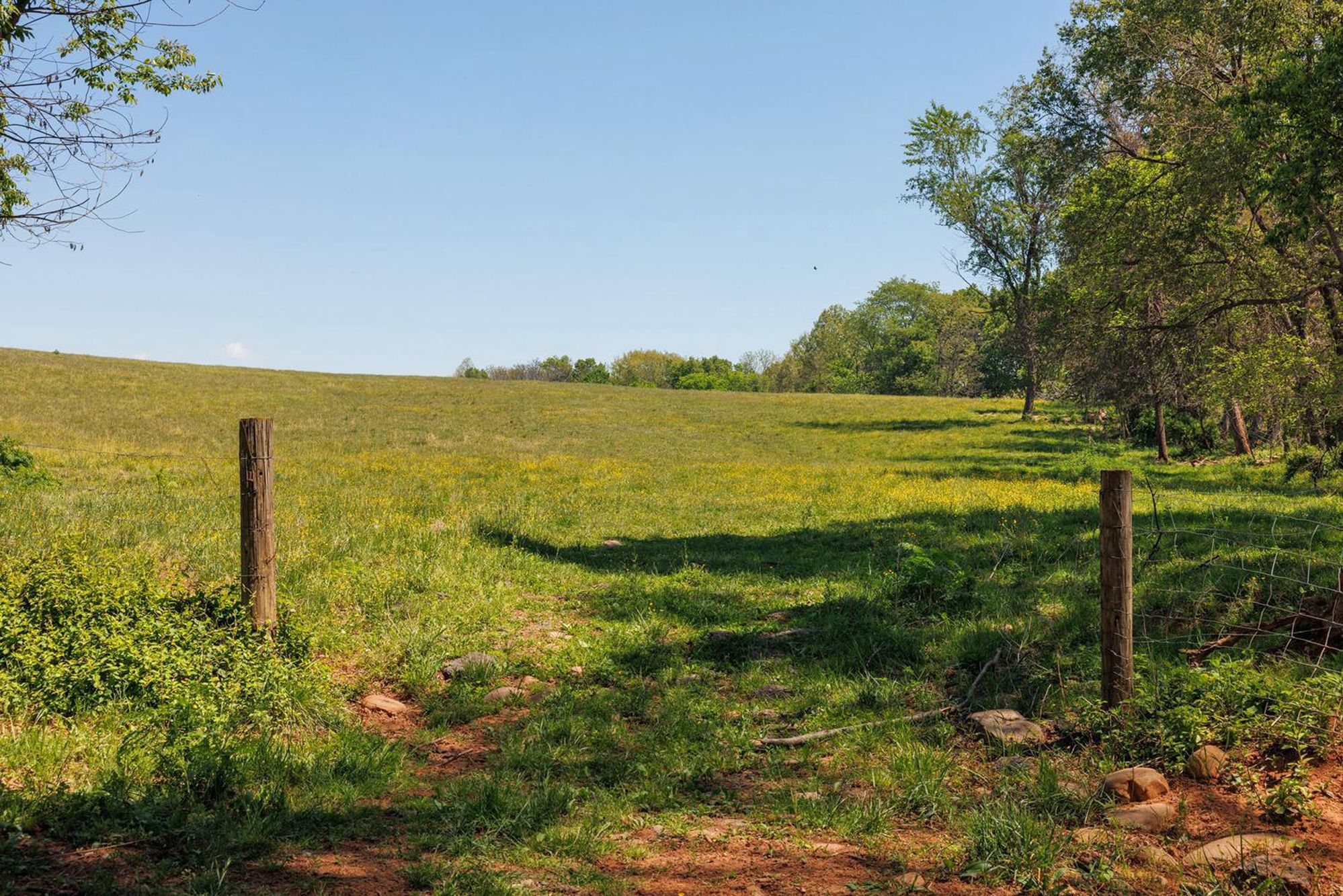  43225 Hibler Road, Leesburg, VA, 20176 - 物件實景