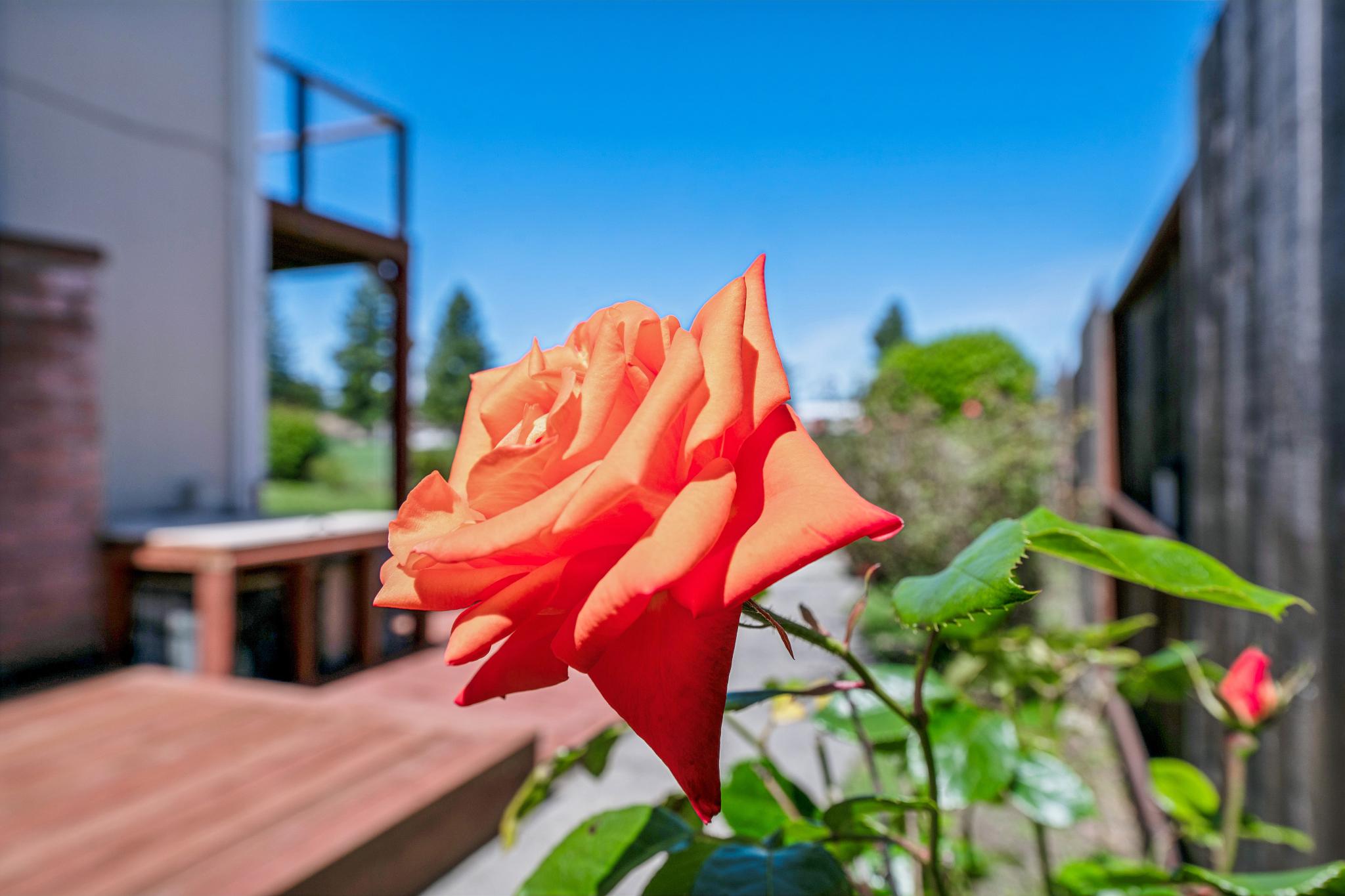  On The Green Above It All - 物件實景