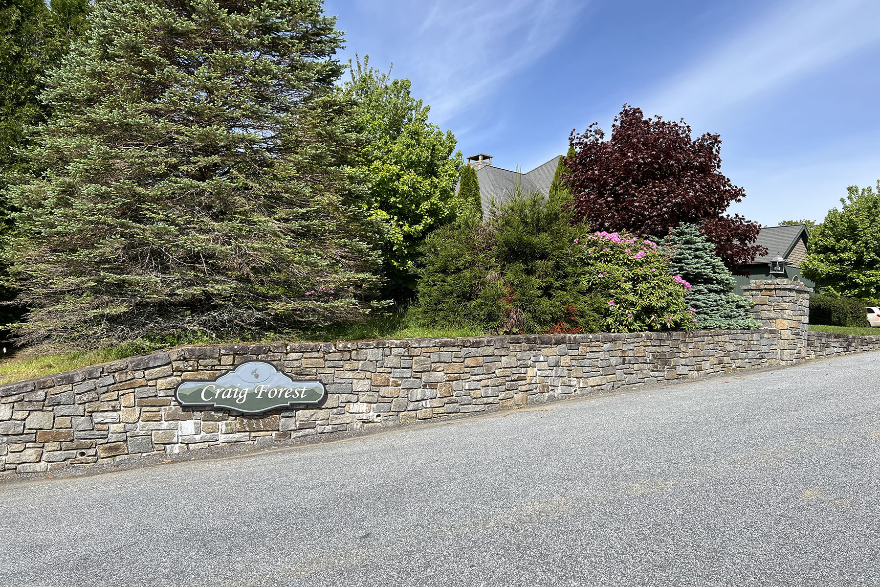  CRAIGS FOREST - BLOWING ROCK - 物件實景