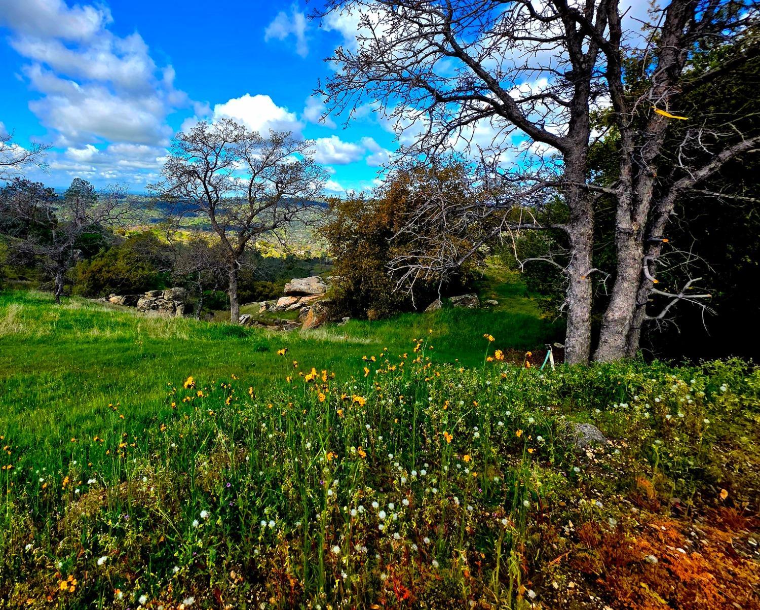 Coarsegold, California, 93614, United States, 3 Bedrooms Bedrooms, ,3 BathroomsBathrooms,Residential,For Sale,1927842