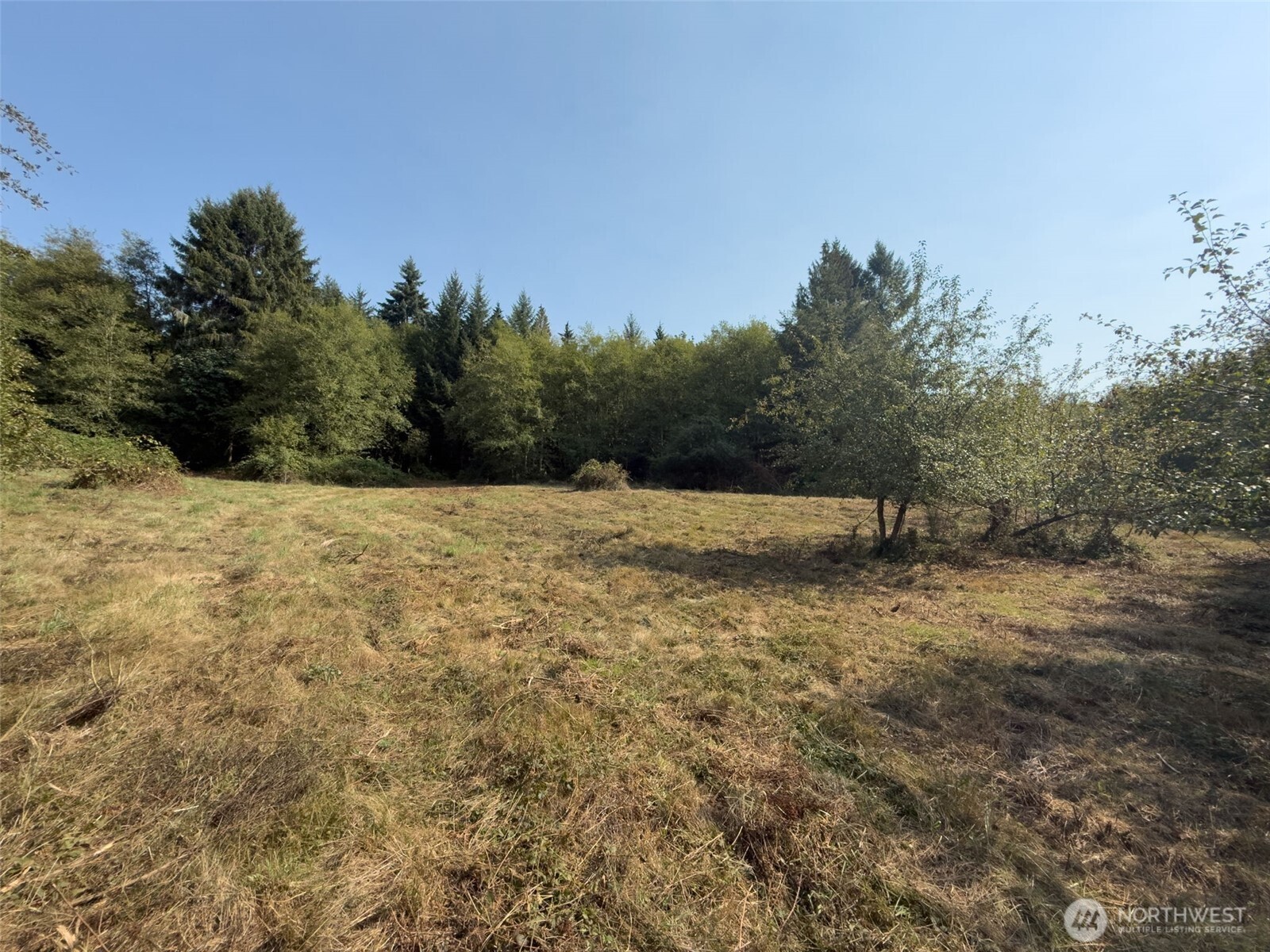 Onalaska, Washington, 98570, United States, ,Land,For Sale,1994245