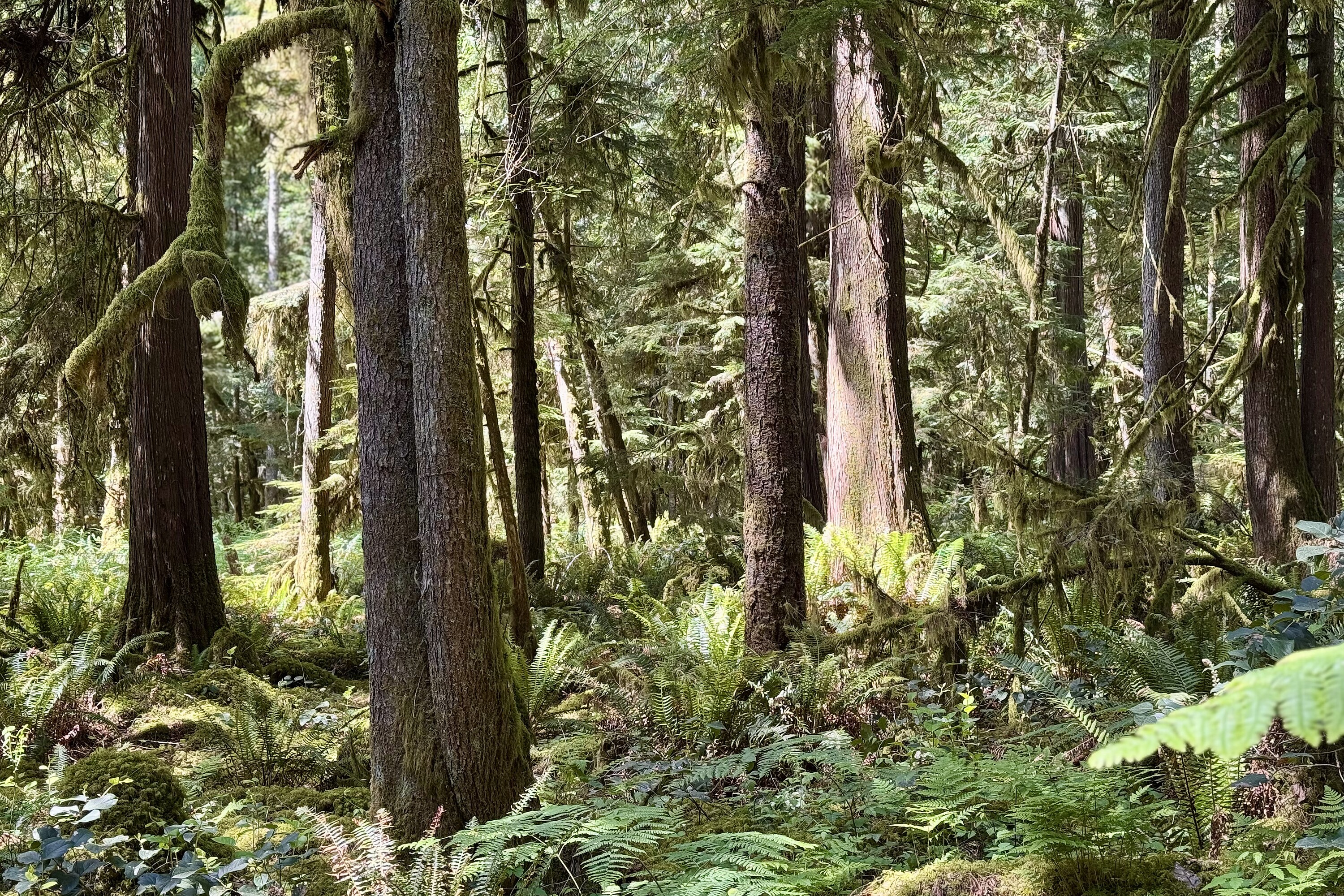  Sechelt, Sunshine Coast - 物件實景