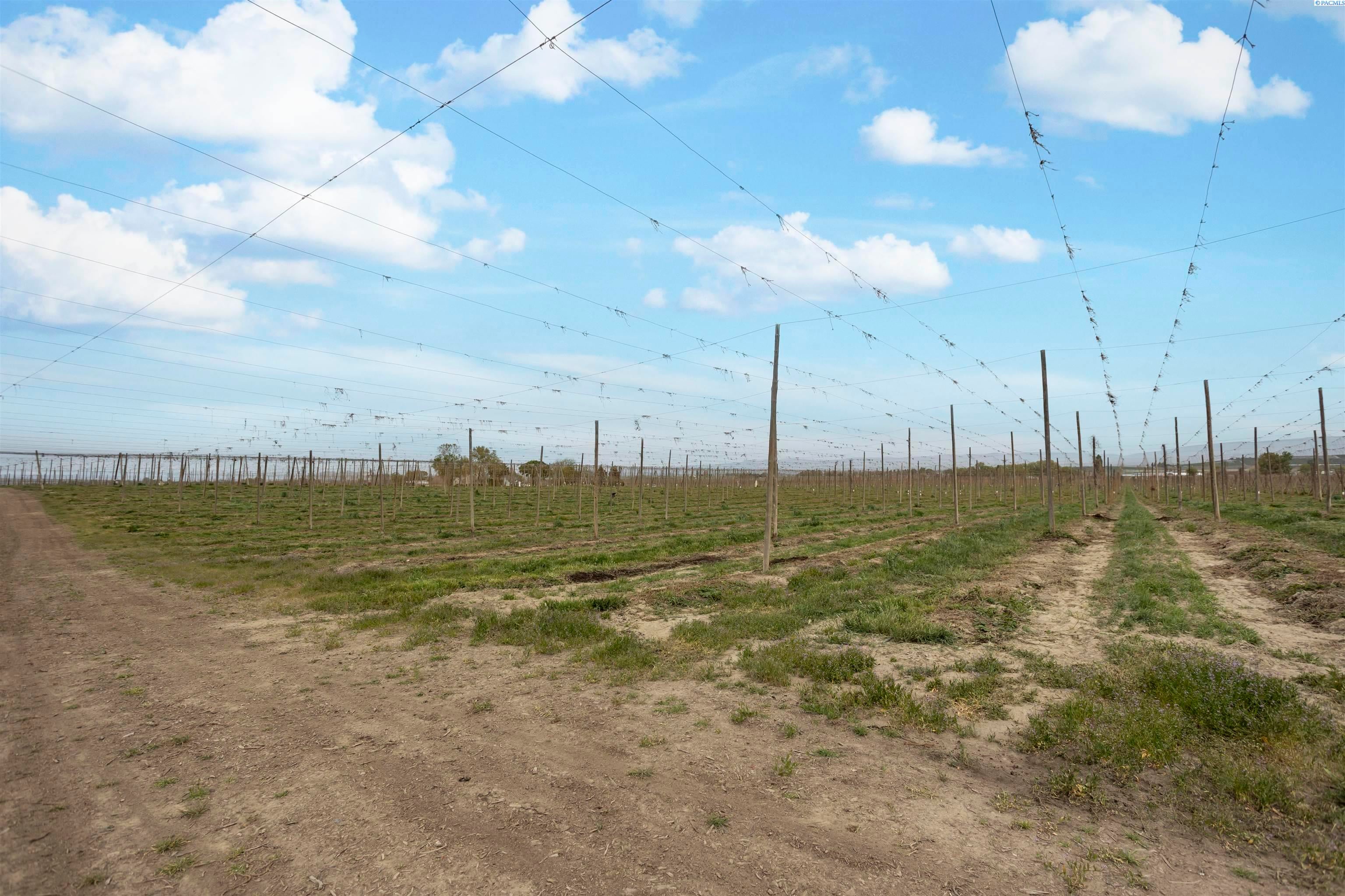 Grandview, Washington, 98930, United States, ,Land,For Sale,1981423