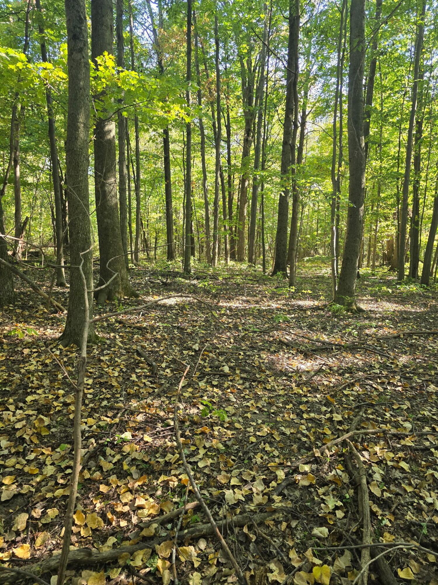 Cardington, Ohio, 43315, United States, 3 Bedrooms Bedrooms, ,2 BathroomsBathrooms,Residential,For Sale,1983191