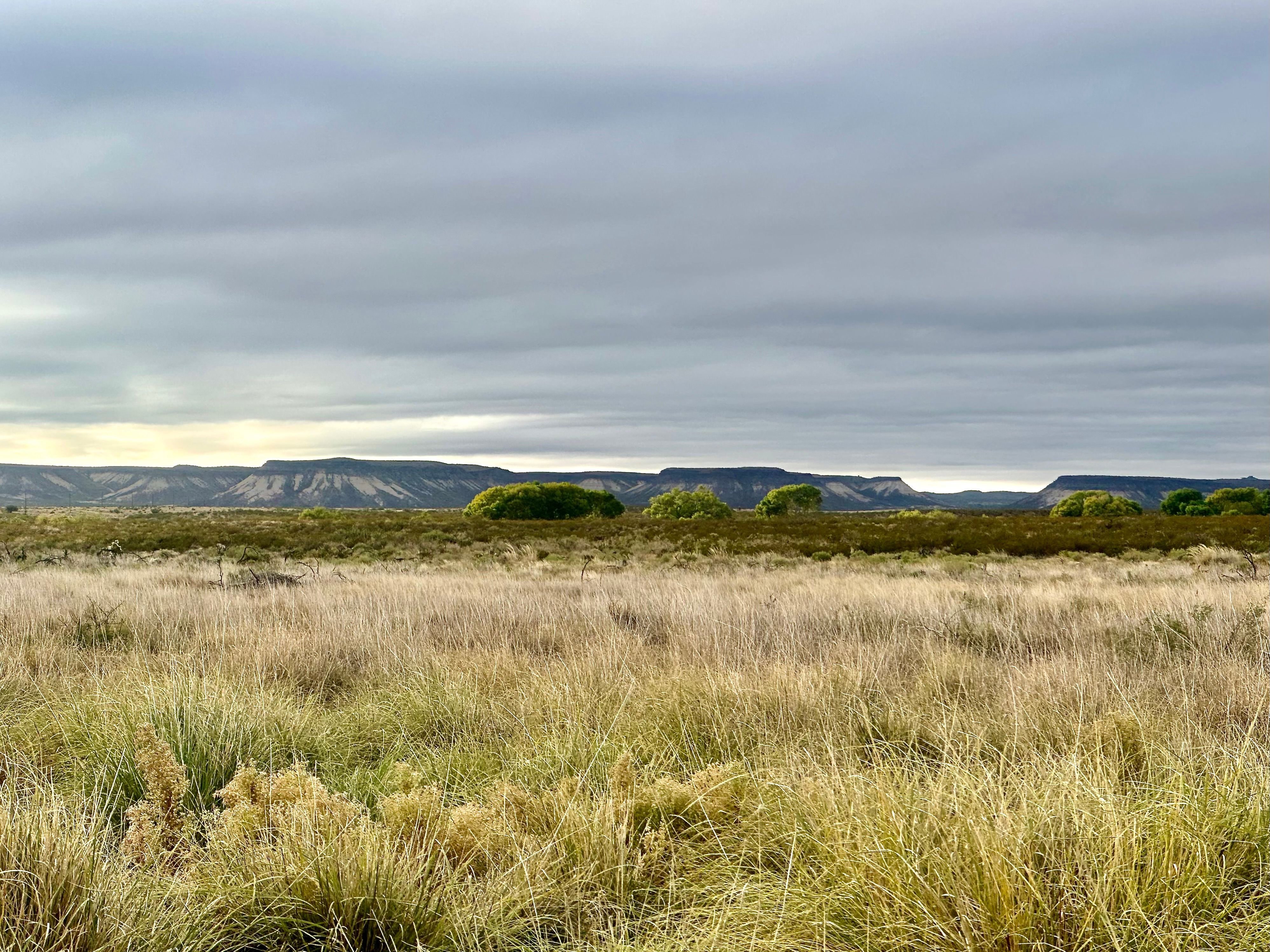  The Alamito Ranch in Presidio County - 物件實景