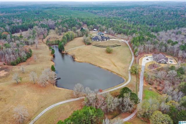 Calera, Alabama, 35040, United States, 5 Bedrooms Bedrooms, ,6 BathroomsBathrooms,Residential,For Sale,2006341