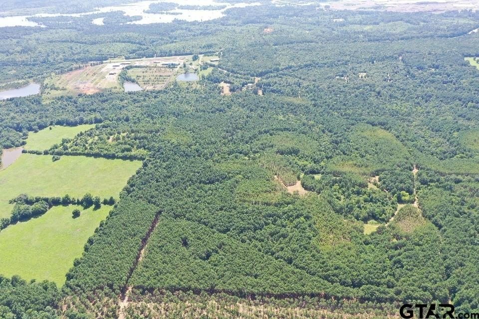 Lone Star, Texas, 75668, United States, 2 Bedrooms Bedrooms, ,1 BathroomBathrooms,Residential,For Sale,1979709