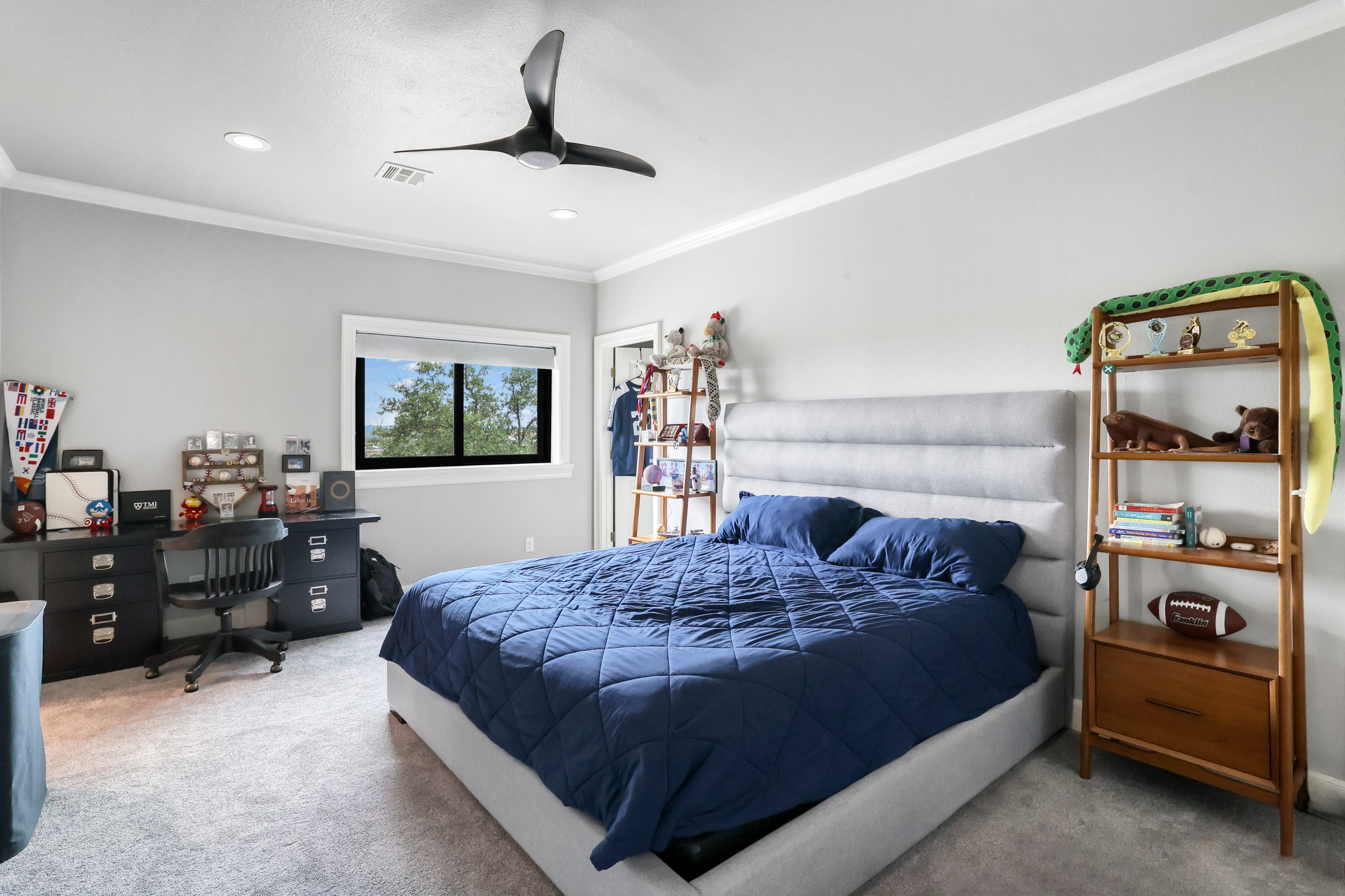  Luxury Living on Nearly an Acre in The Dominion - 物件實景