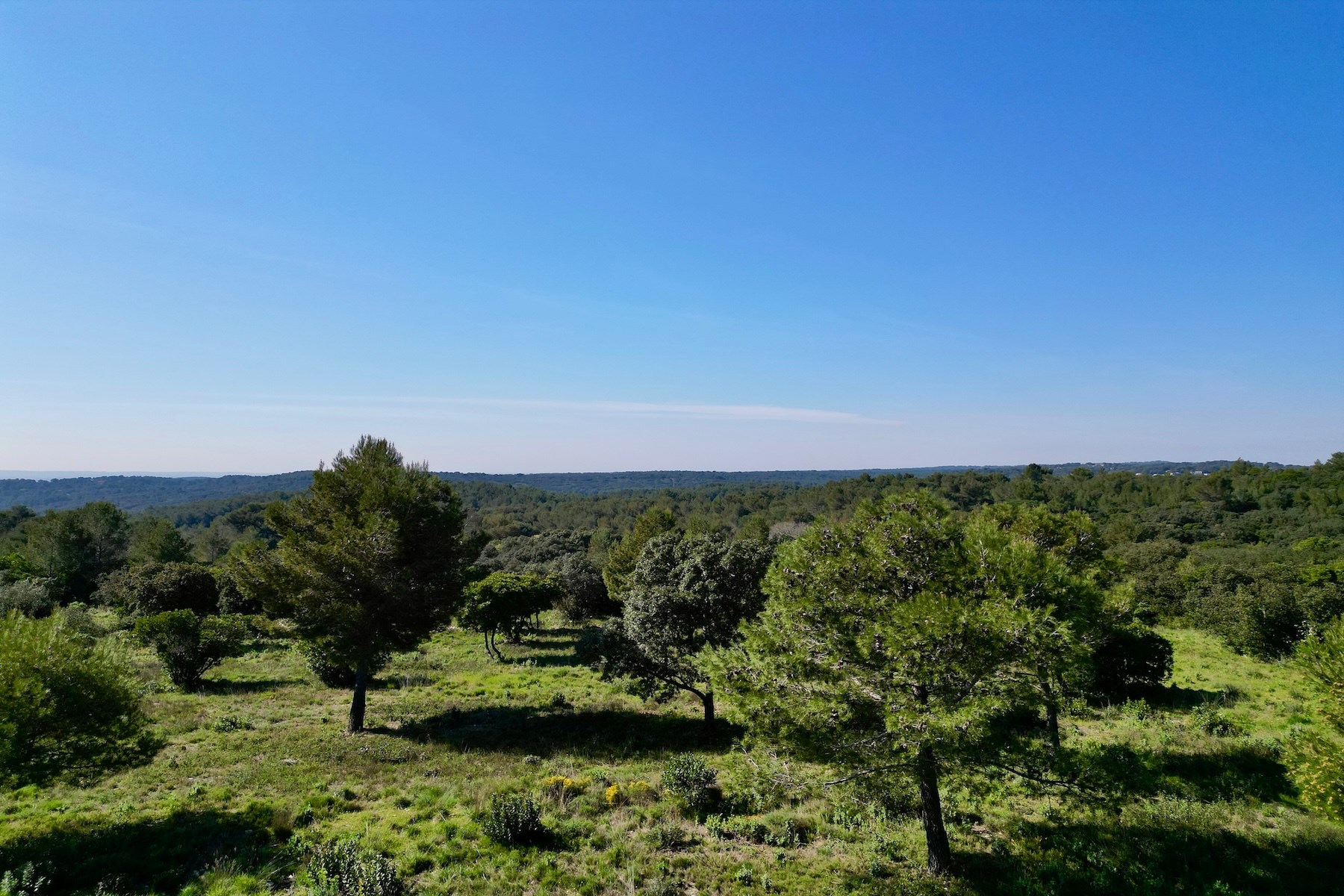  Nimes Contemporary Single-Storey Villa with Panoramic Garrigue Views - 物件實景