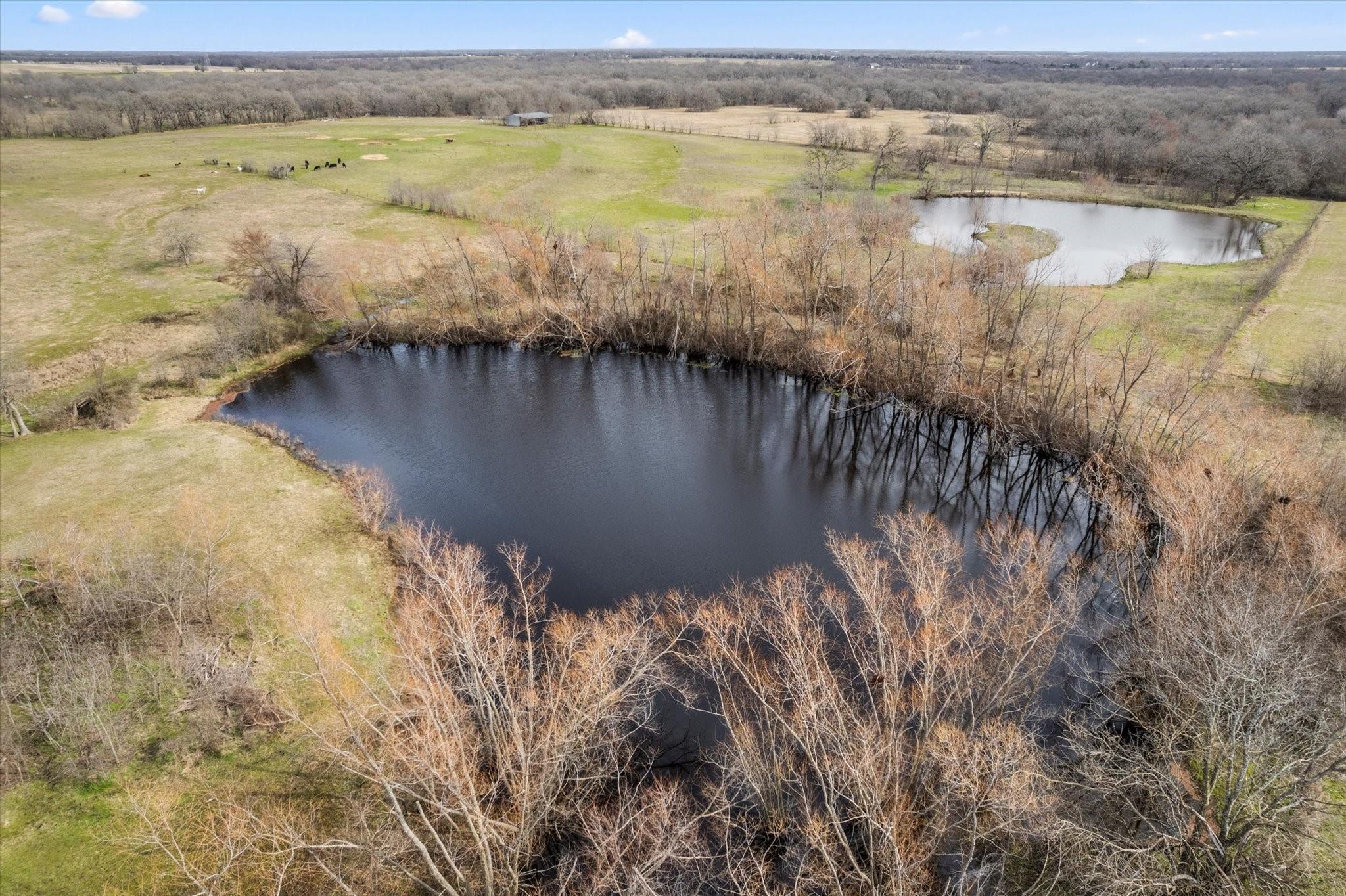 Sulphur Springs, Texas, 75482, United States, 3 Bedrooms Bedrooms, ,3 BathroomsBathrooms,Residential,For Sale,1975221