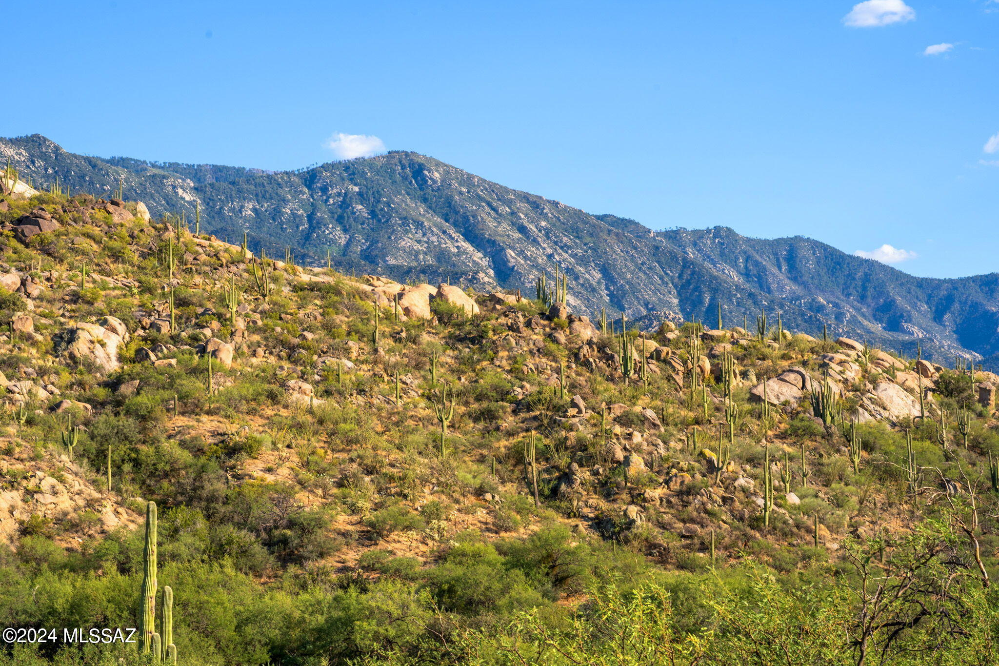 Tucson, Arizona, 85739, United States, ,Land,For Sale,1744993