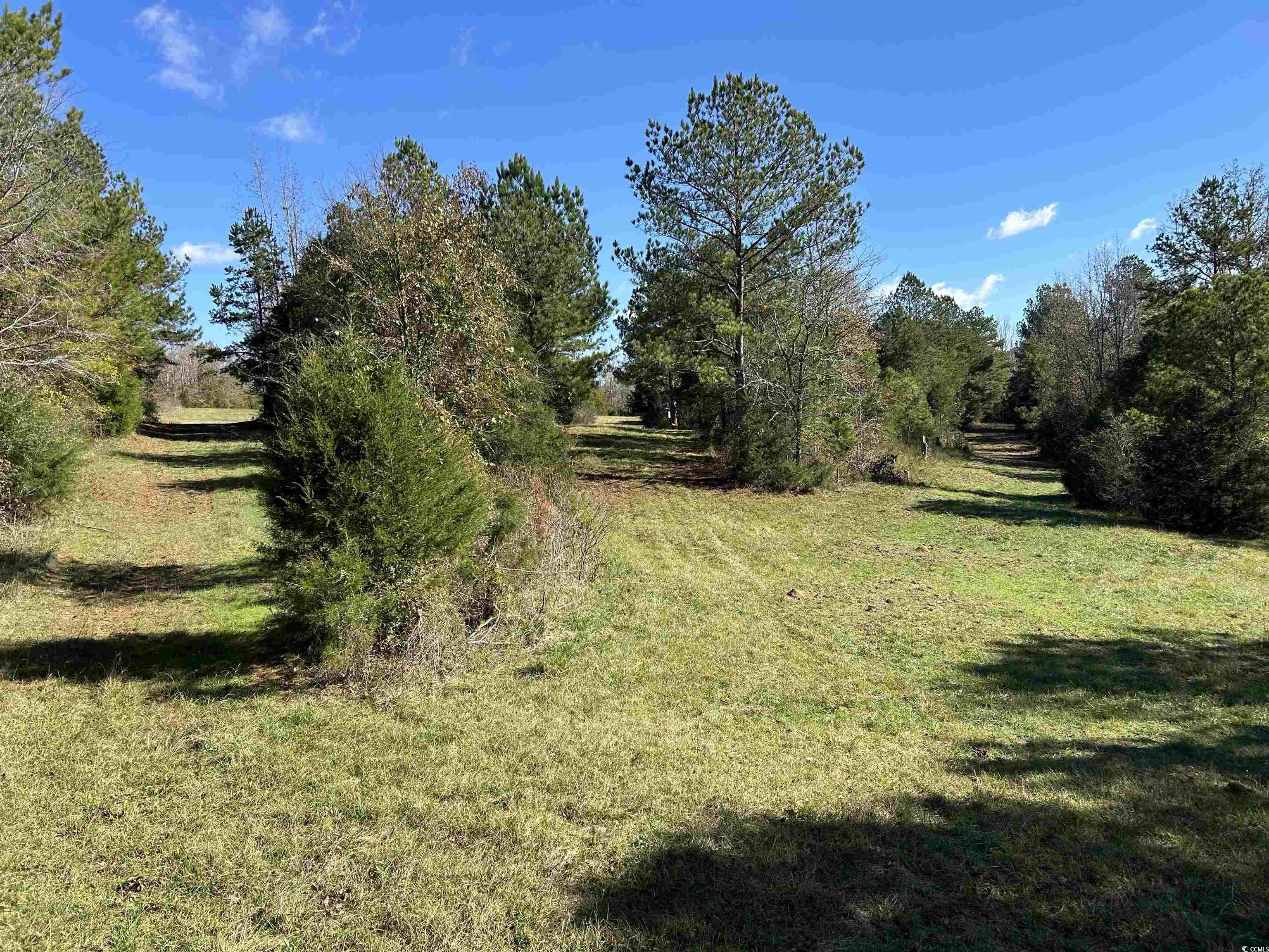  TBD River Fork Rd - 物件實景