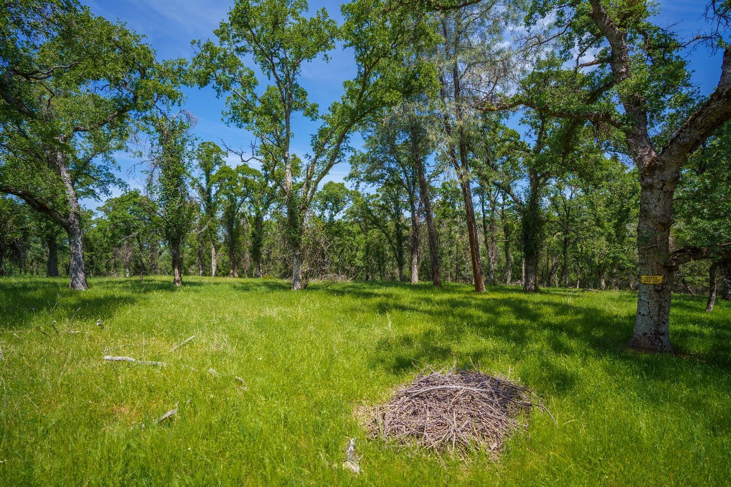 Lincoln, California, 95648, United States, ,Land,For Sale,1784125