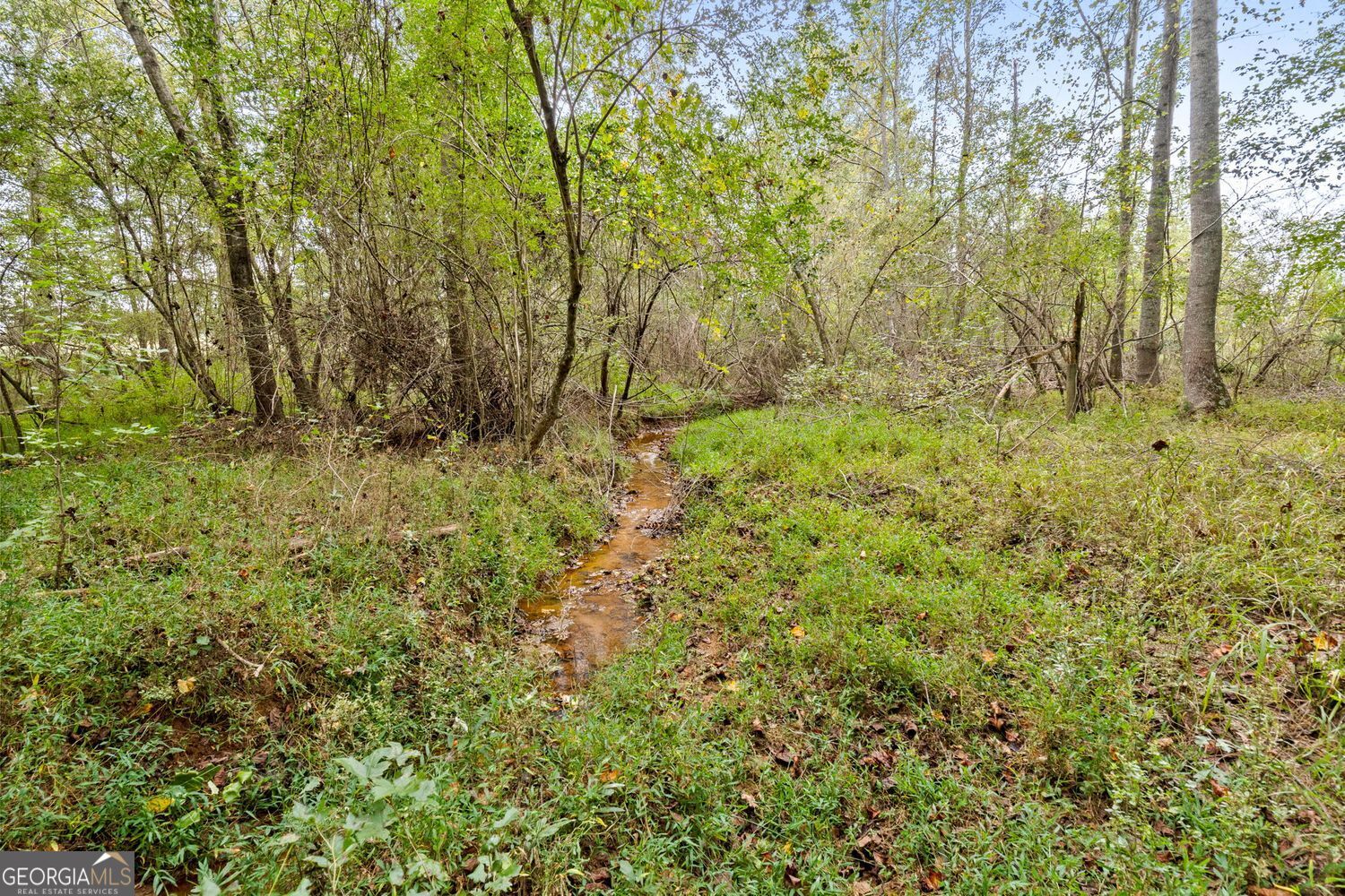 The Rock, Georgia, 30285, United States, ,Land,For Sale,1963371