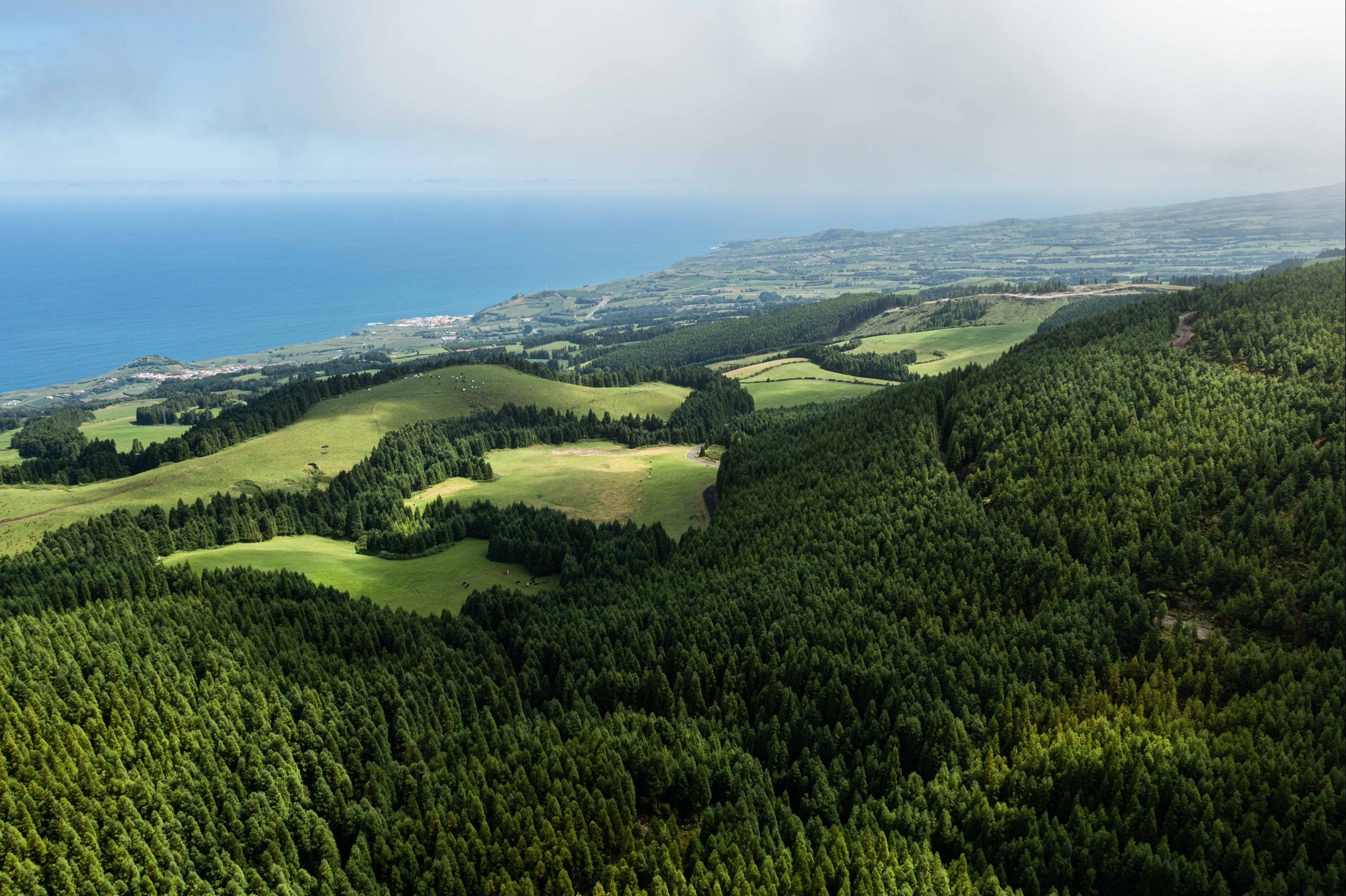 Ribeira Grande, Ilha de São Miguel, 9625 - 400, PT, ,Residential,For Sale,1698698