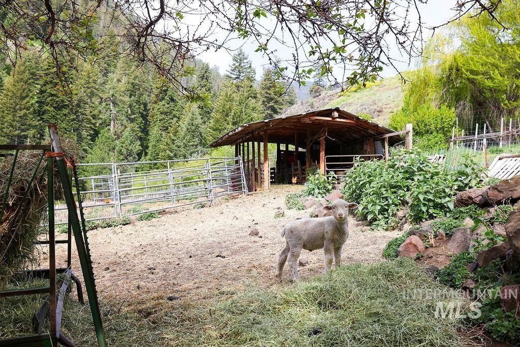 Riggins, Idaho, 83549, United States, 2 Bedrooms Bedrooms, ,1 BathroomBathrooms,Residential,For Sale,1826044
