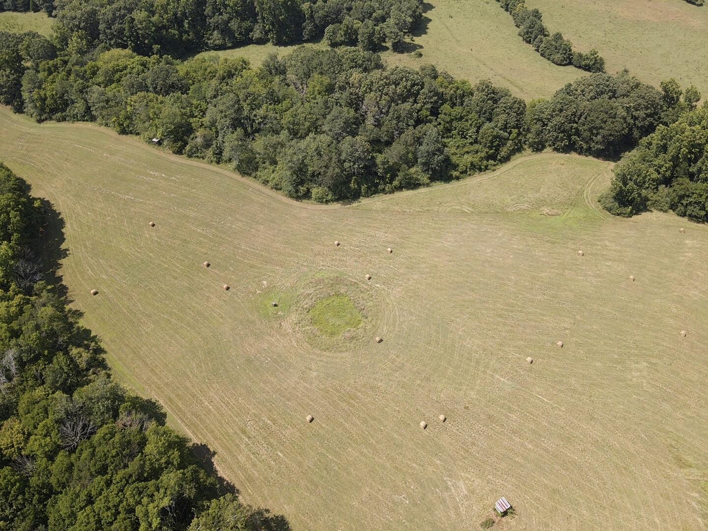 Bryant, Alabama, 35958, United States, ,Land,For Sale,1982684