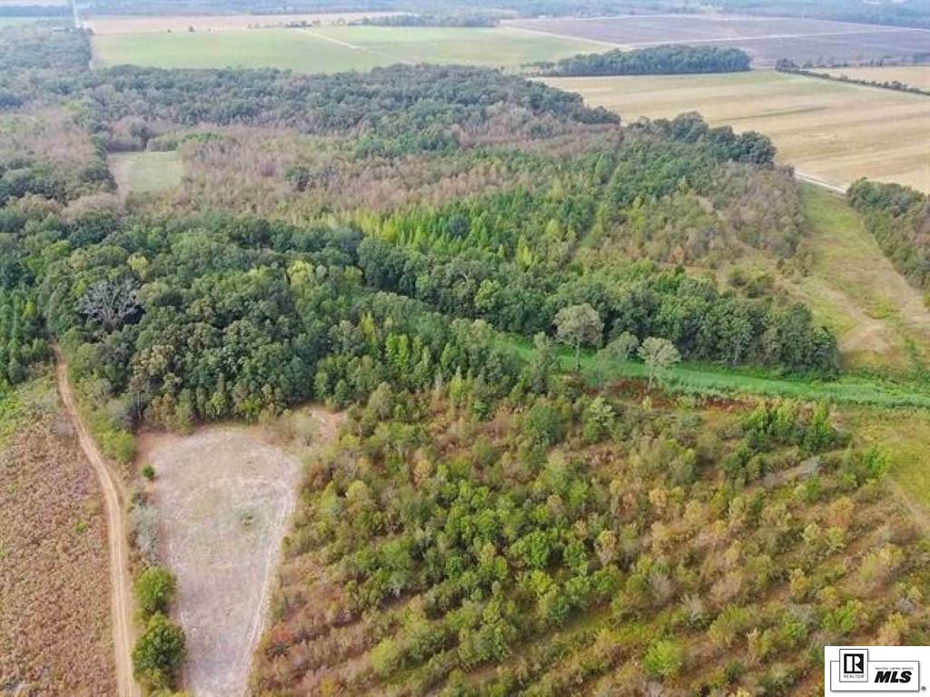 491 FORTENBERRY ROAD, Rayville, Louisiana, 71269, United States, ,Land,For Sale,491 FORTENBERRY ROAD,1683362