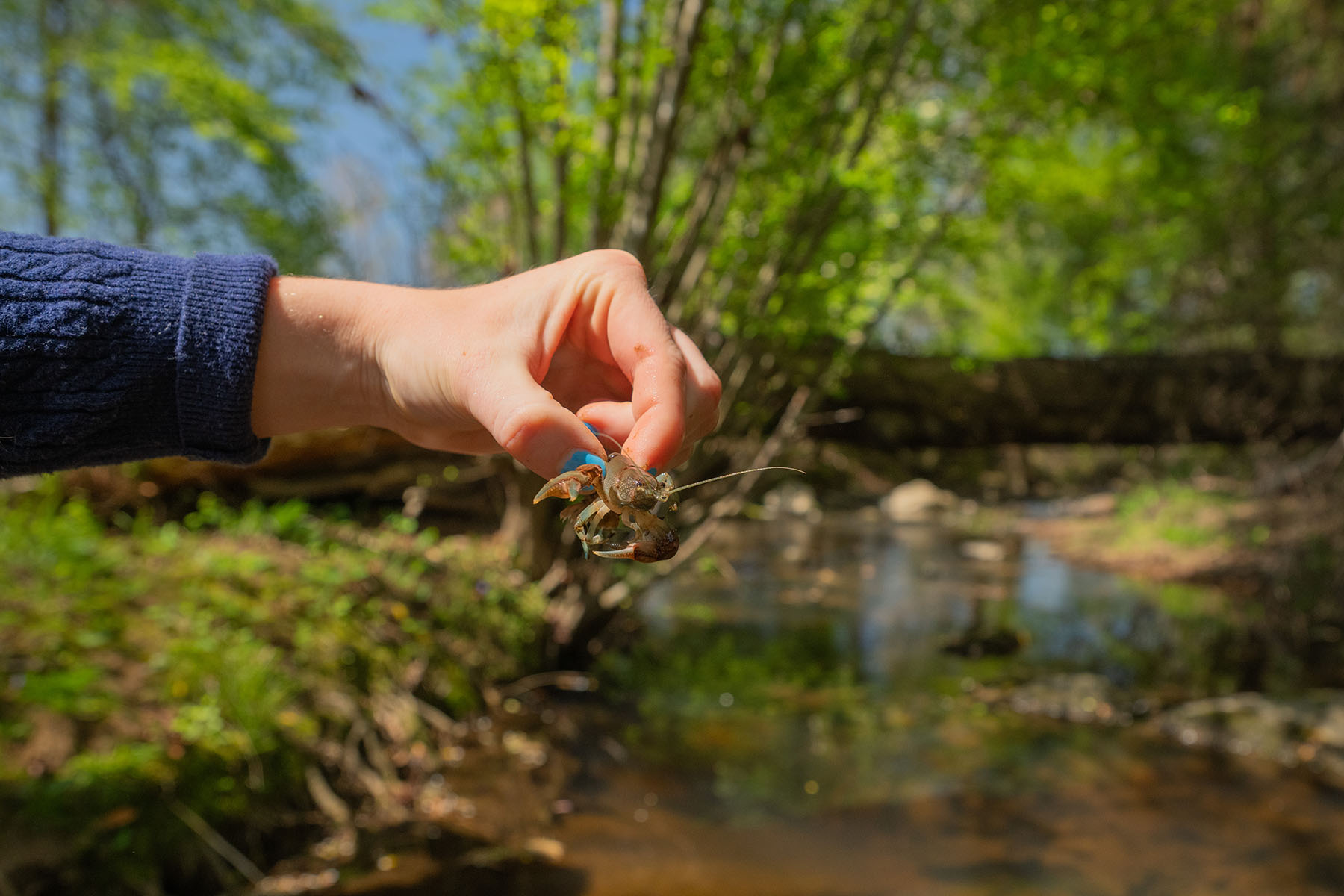  Albemarle - 物件實景