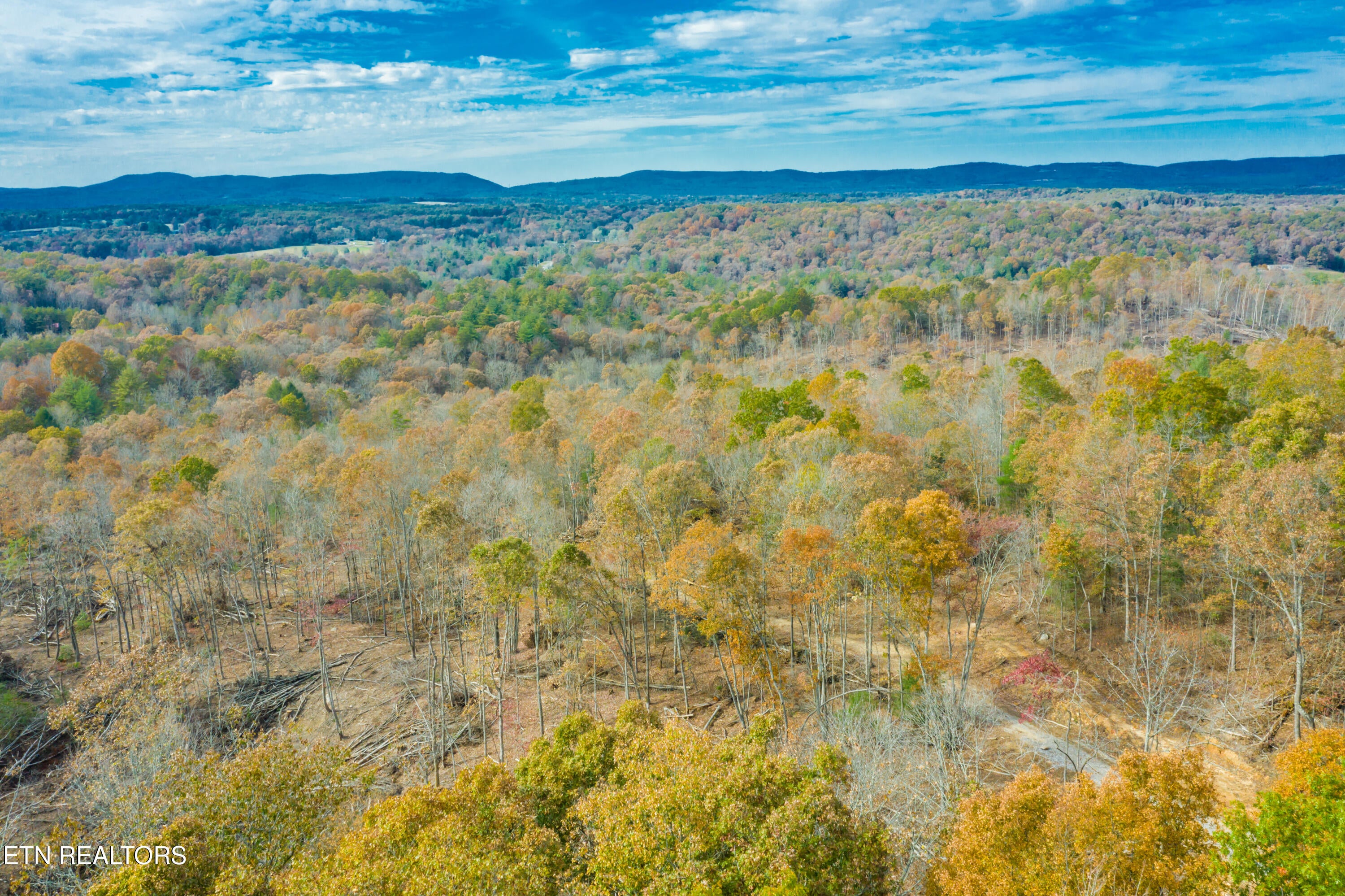 Rockwood, Tennessee, 37854, United States, ,Land,For Sale,1806468