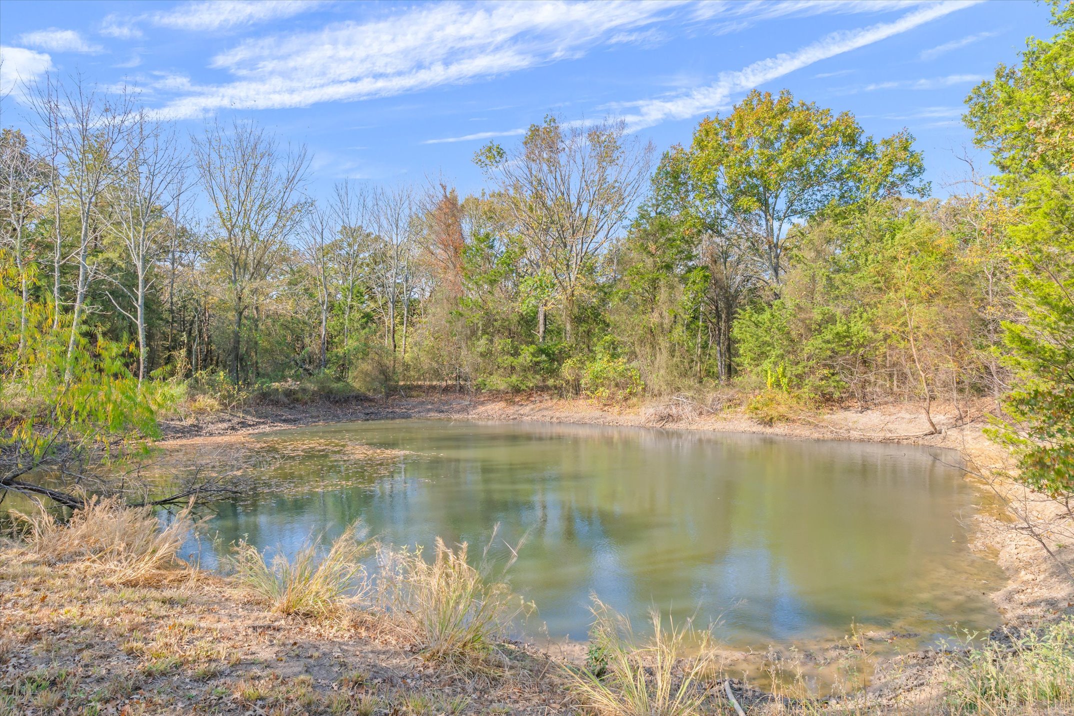 Wills Point, Texas, 75169, United States, 4 Bedrooms Bedrooms, ,4 BathroomsBathrooms,Residential,For Sale,1996475
