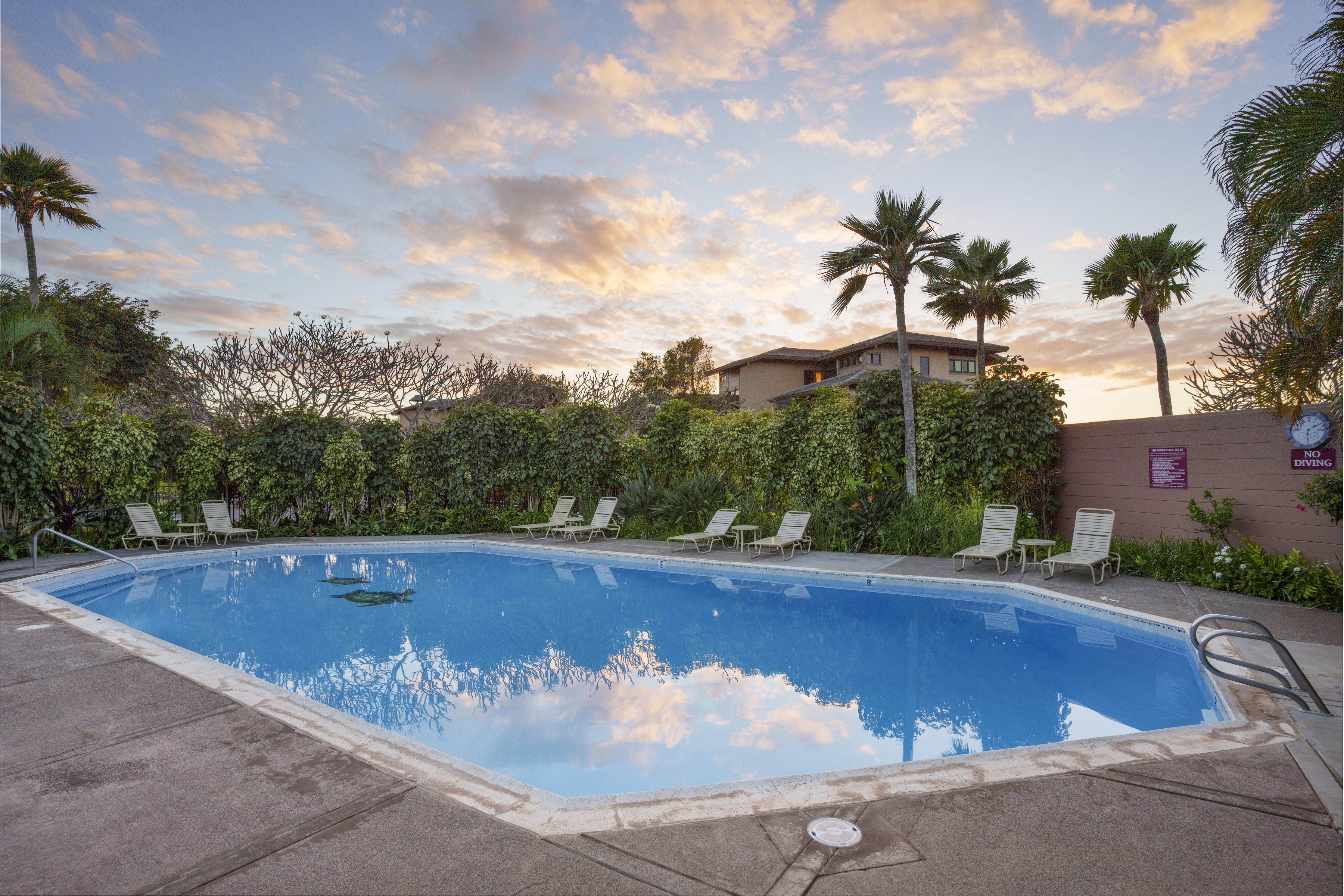  Redesigned Ridge Villa with Office & Honolua Bay Views - 物件實景